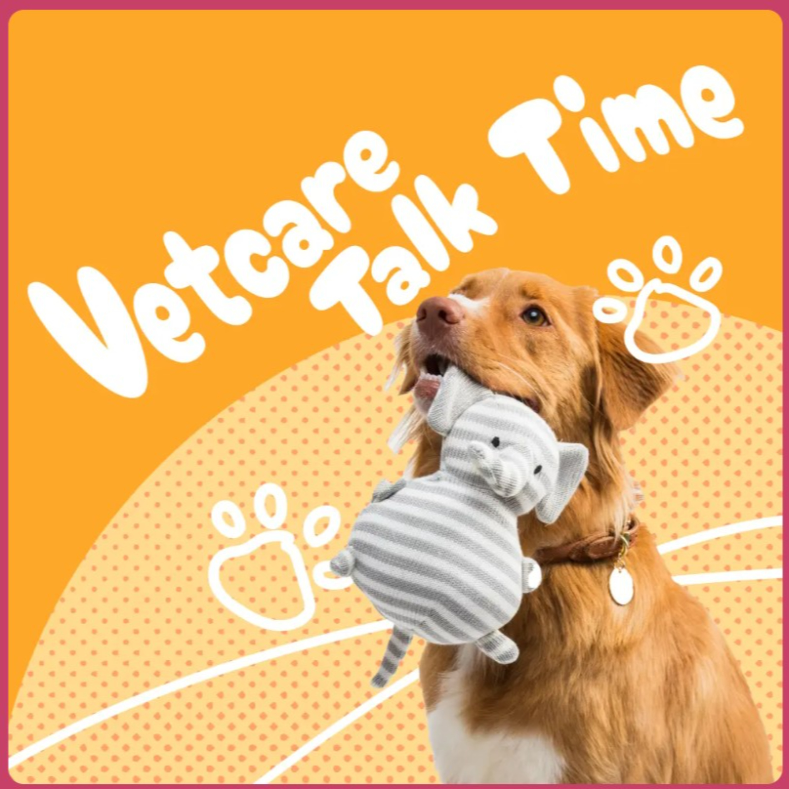 VetCare Talk Time