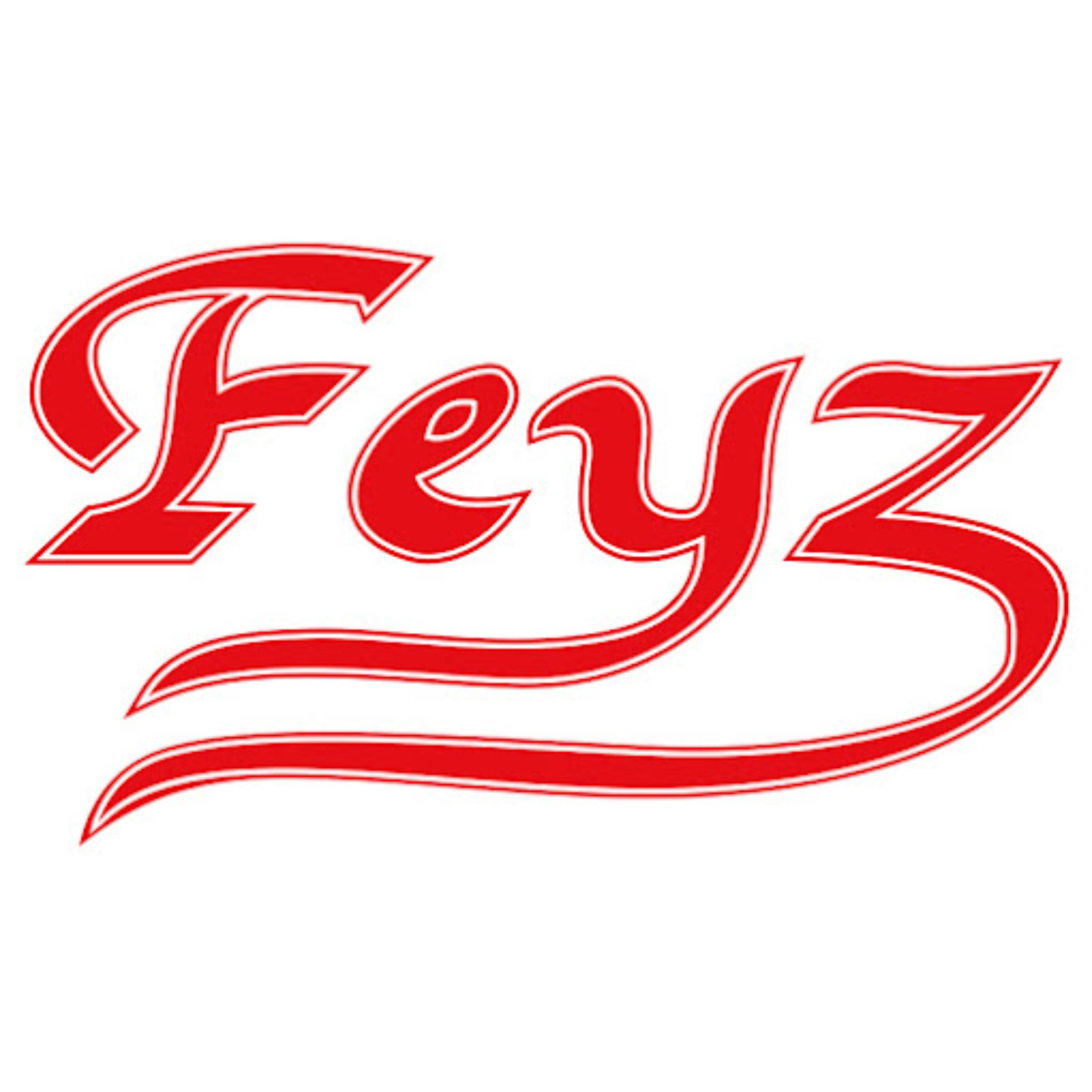 Feyz Deutschland cover art