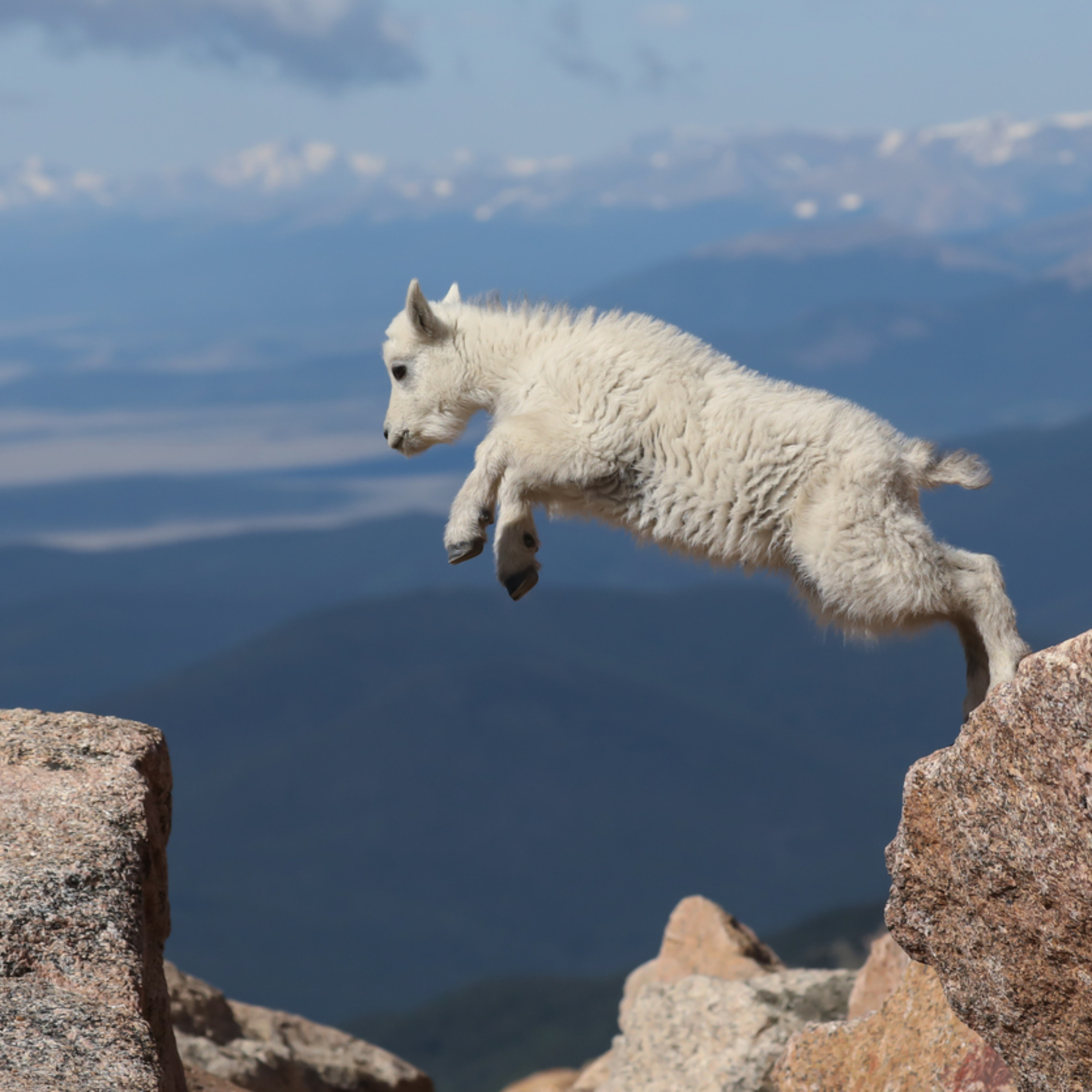 Are You Relentlessly Resilient?