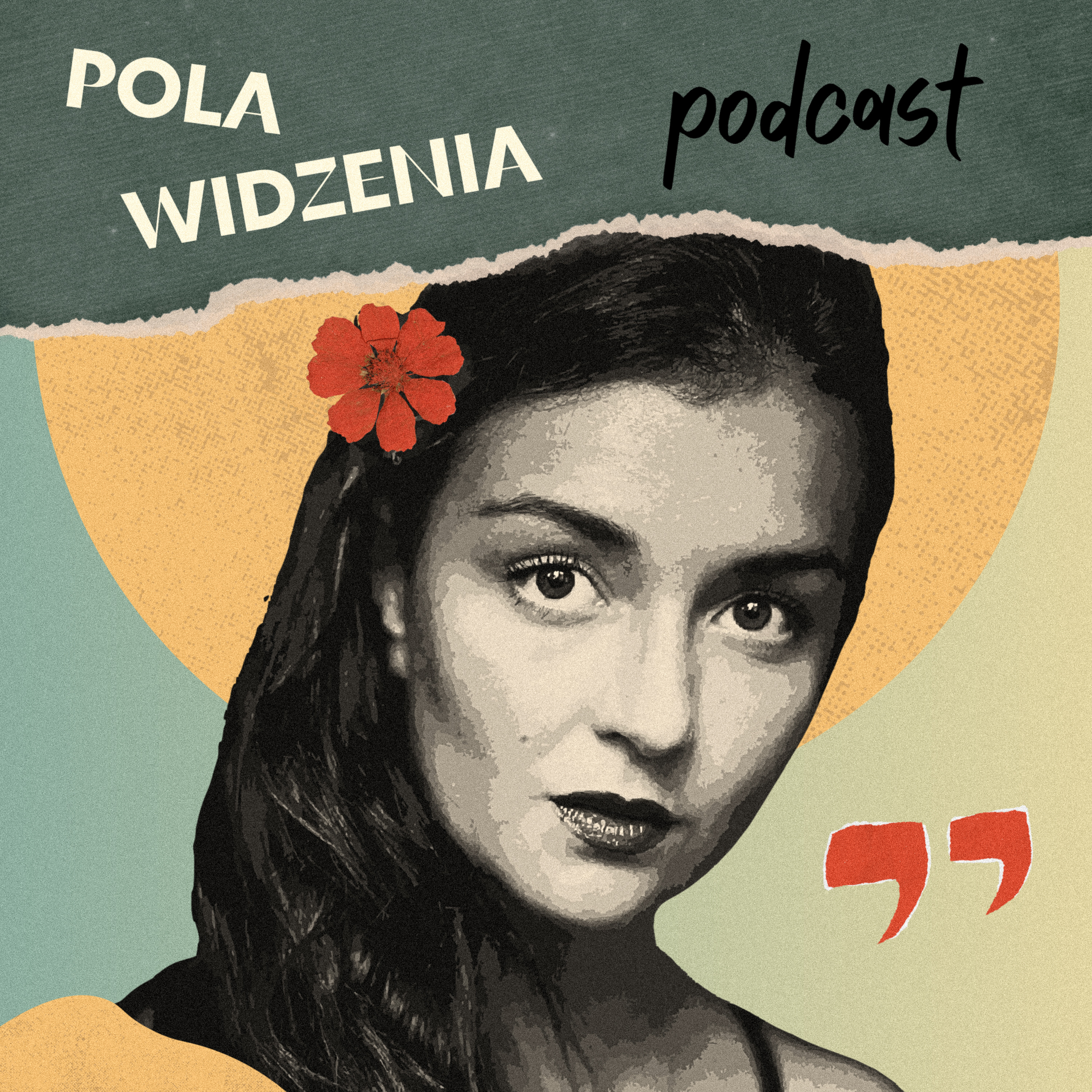 Pola Widzenia podcast artwork