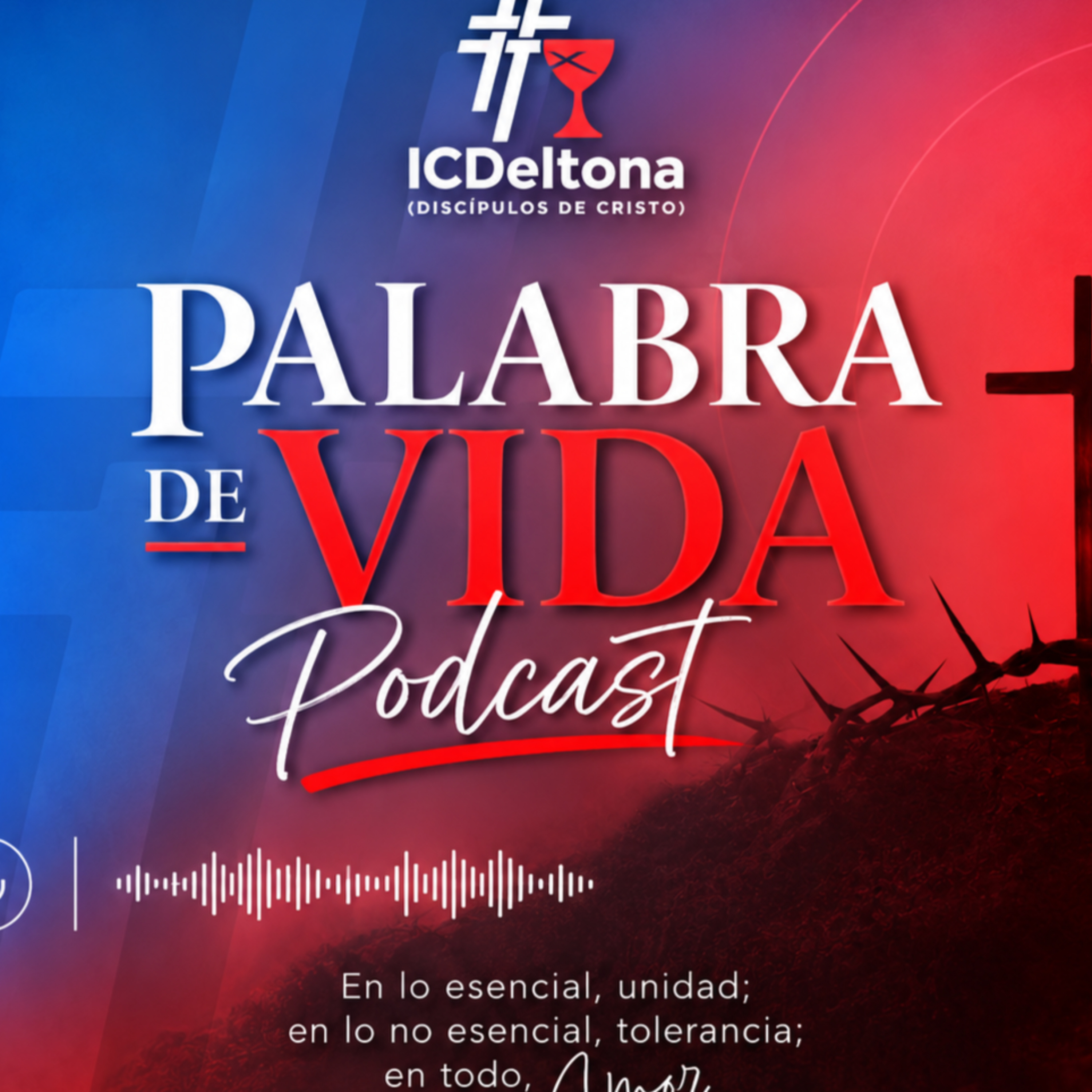 ¡Enfócate! Fijemos la mirada en Jesús, el iniciador y perfeccionador de nuestra fe. episode artwork