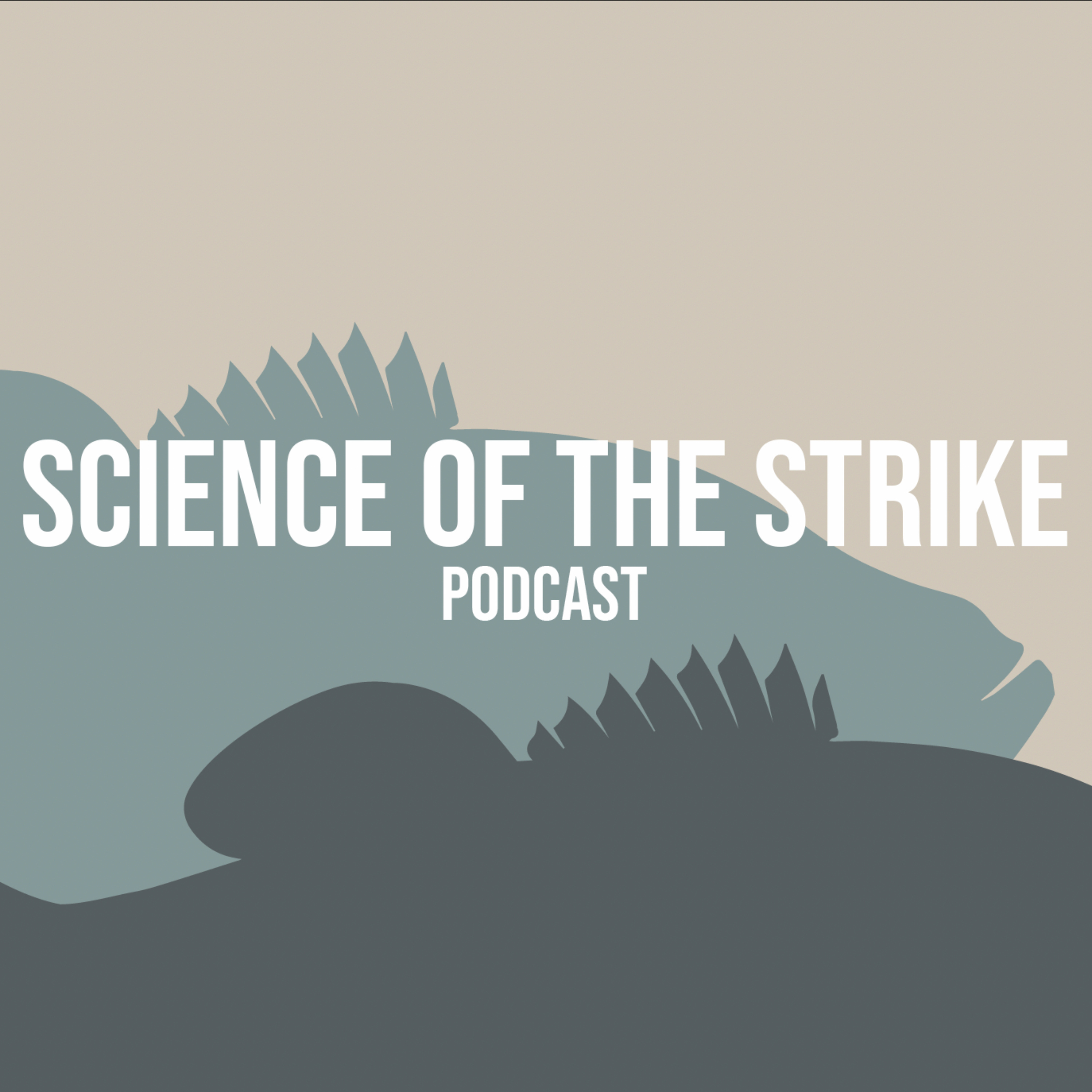 Science of the Strike