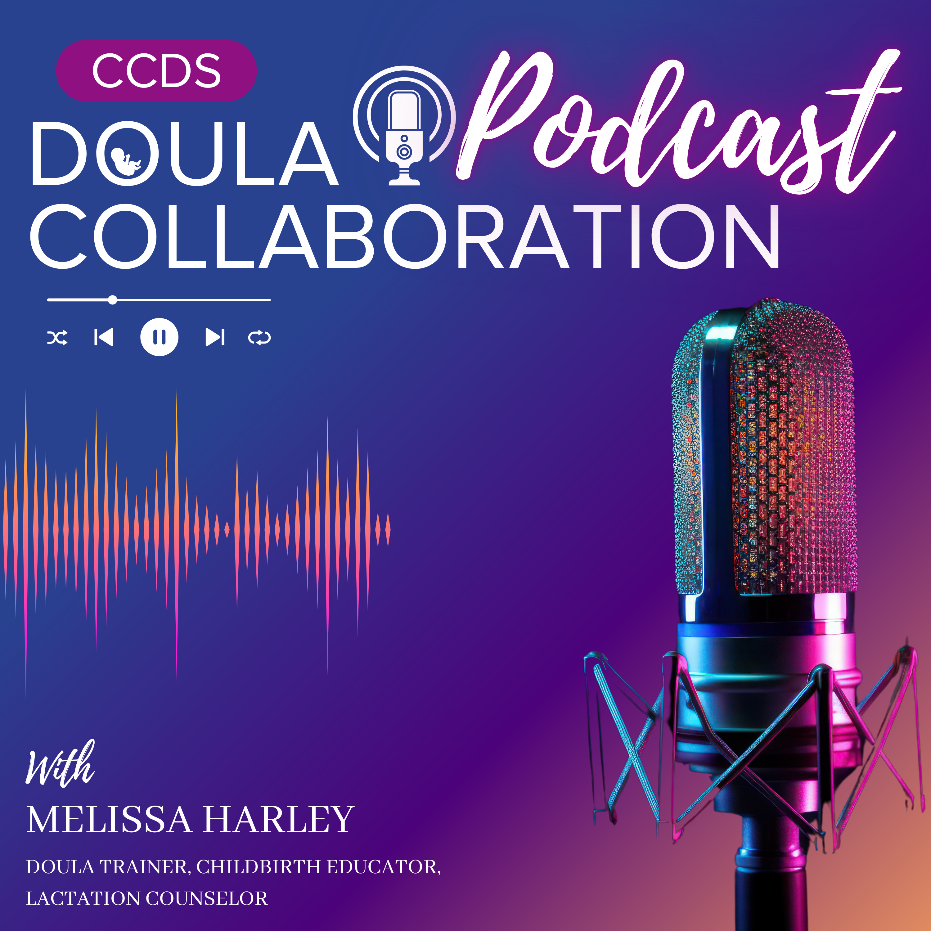 CCDS Doula Collaboration