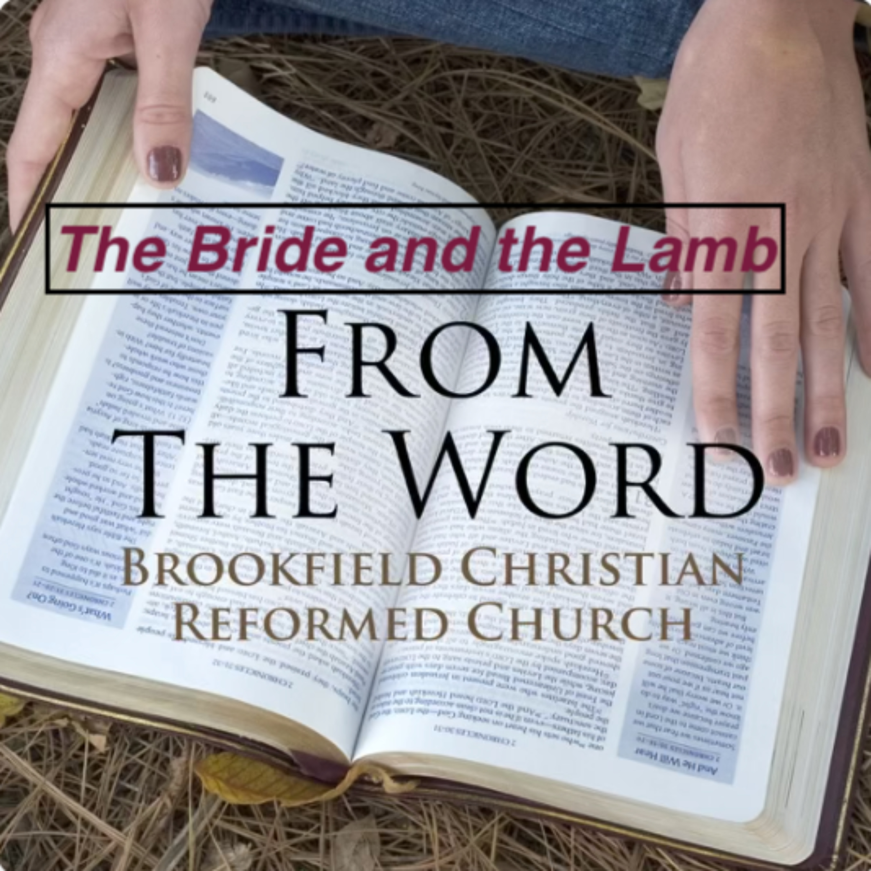 The Bride and the Lamb Series from Brookfield Christian Reformed Church