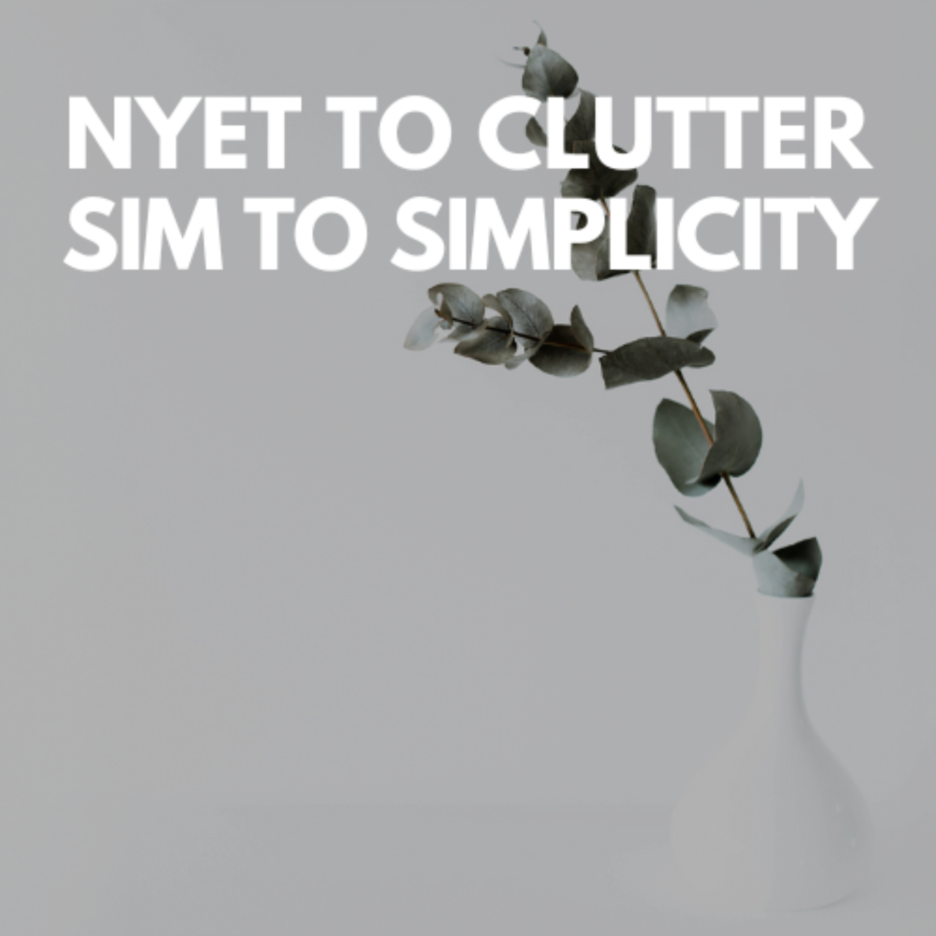 Nyet to Clutter, Sim to Simplicity podcast artwork