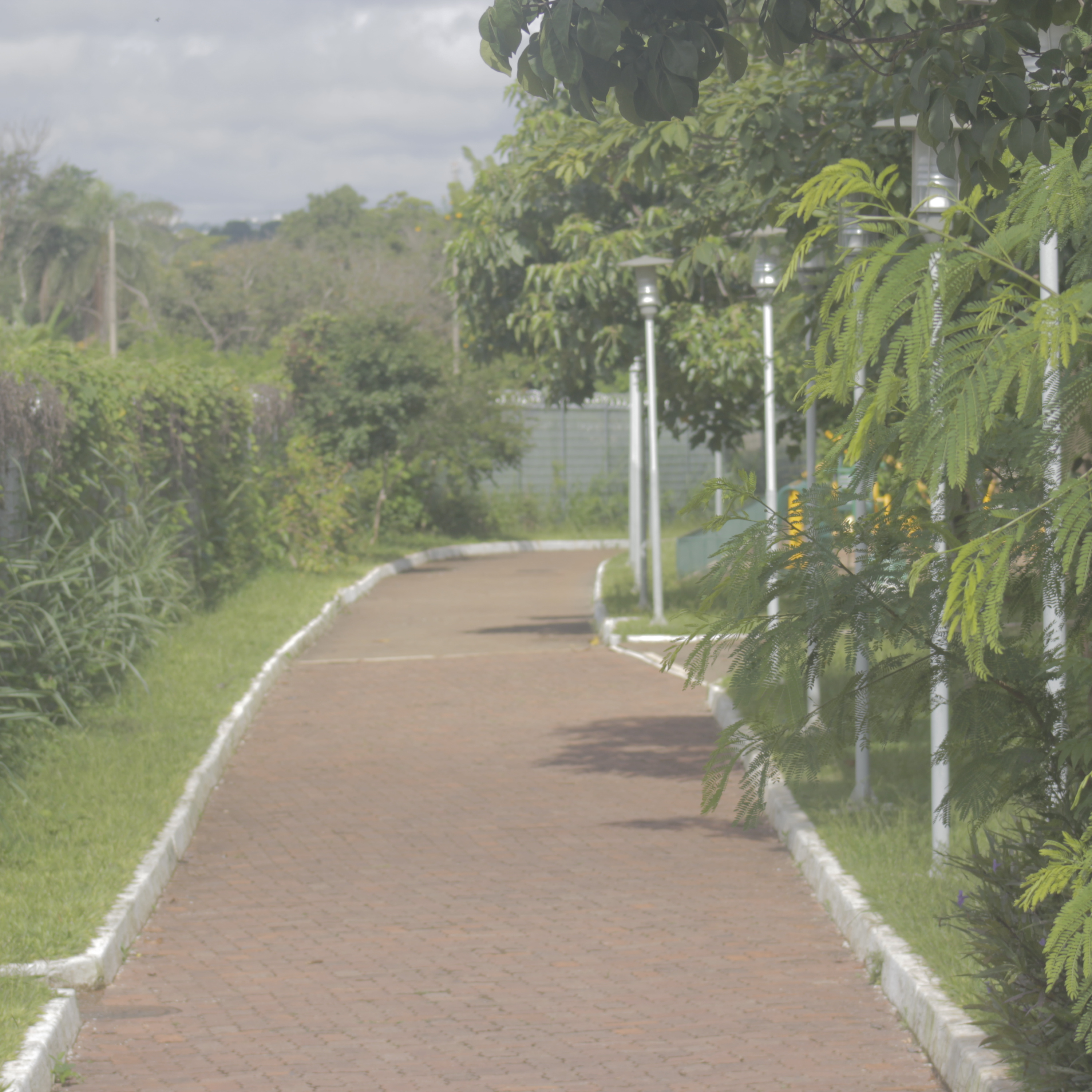 Aulas WilsonSerpa