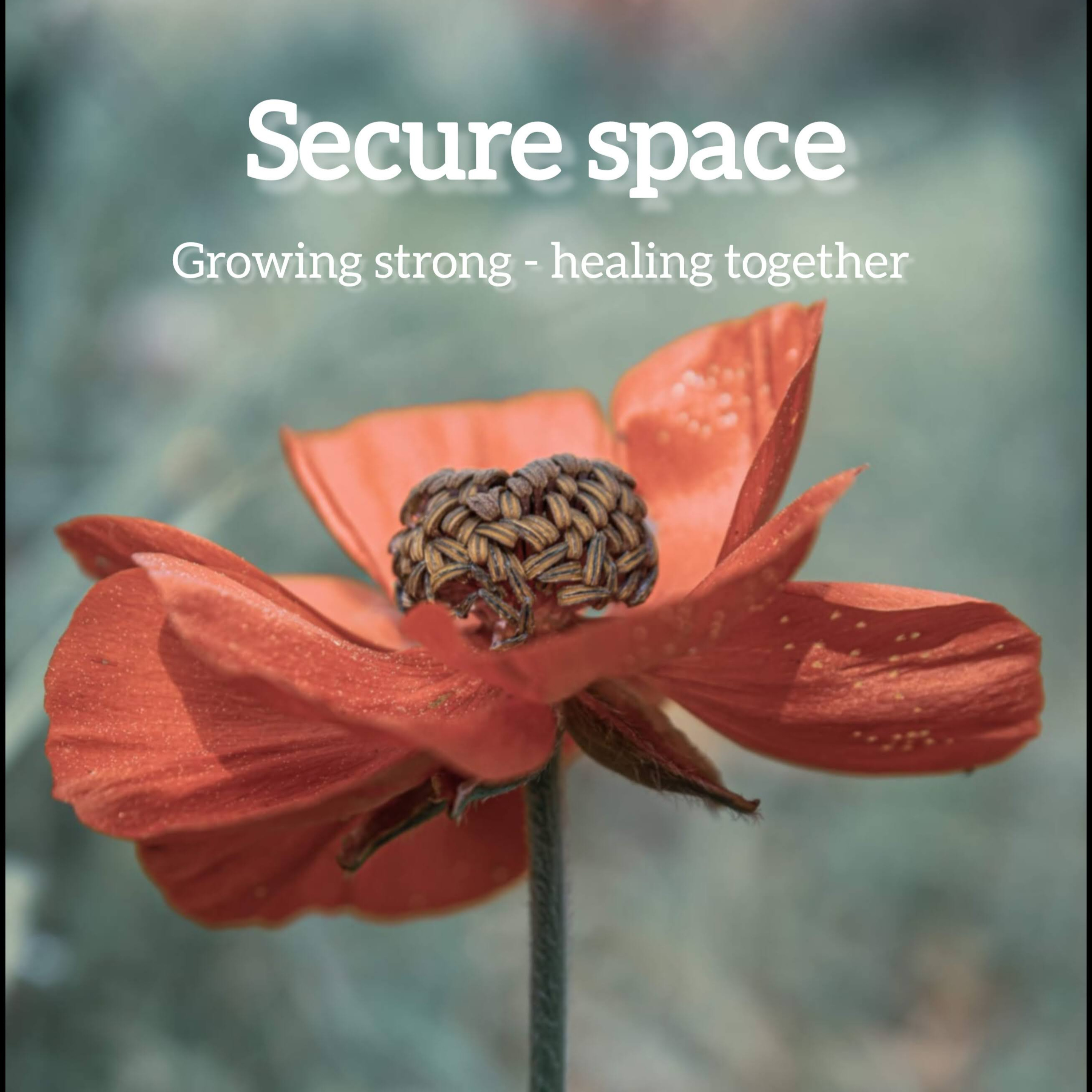 Secure Space podcast artwork