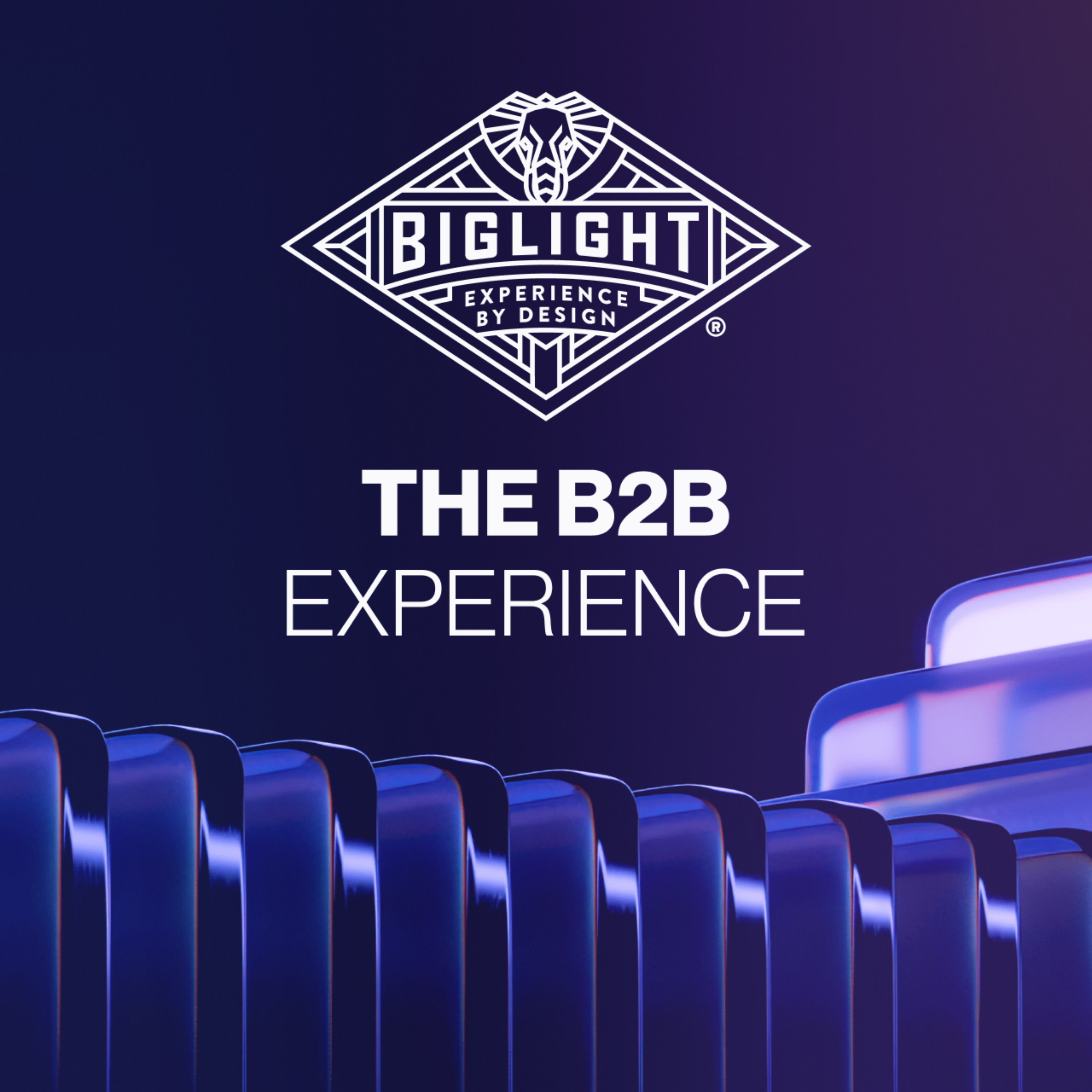 The B2B Experience