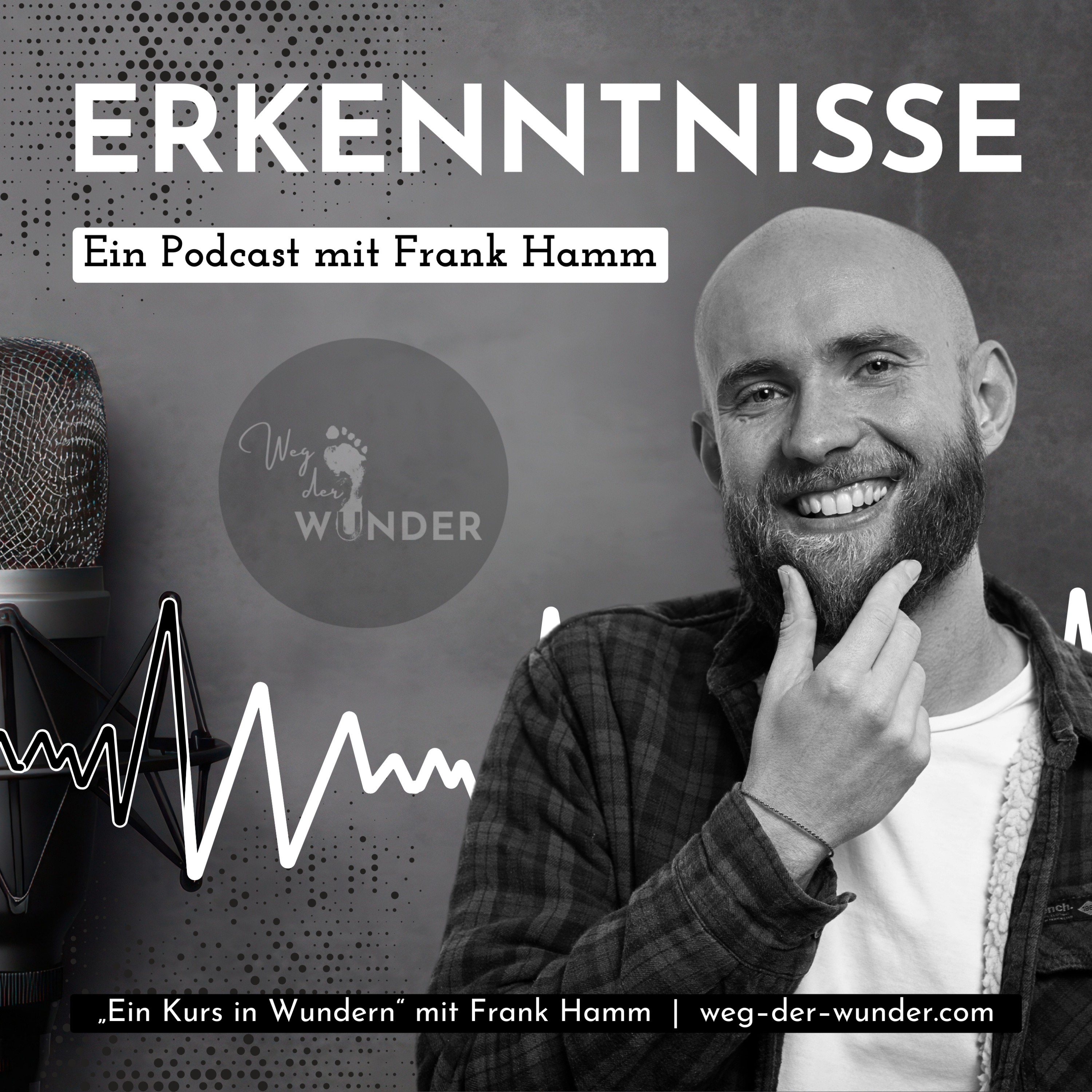 Erkenntnisse – Ein Podcast mit Frank Hamm podcast artwork