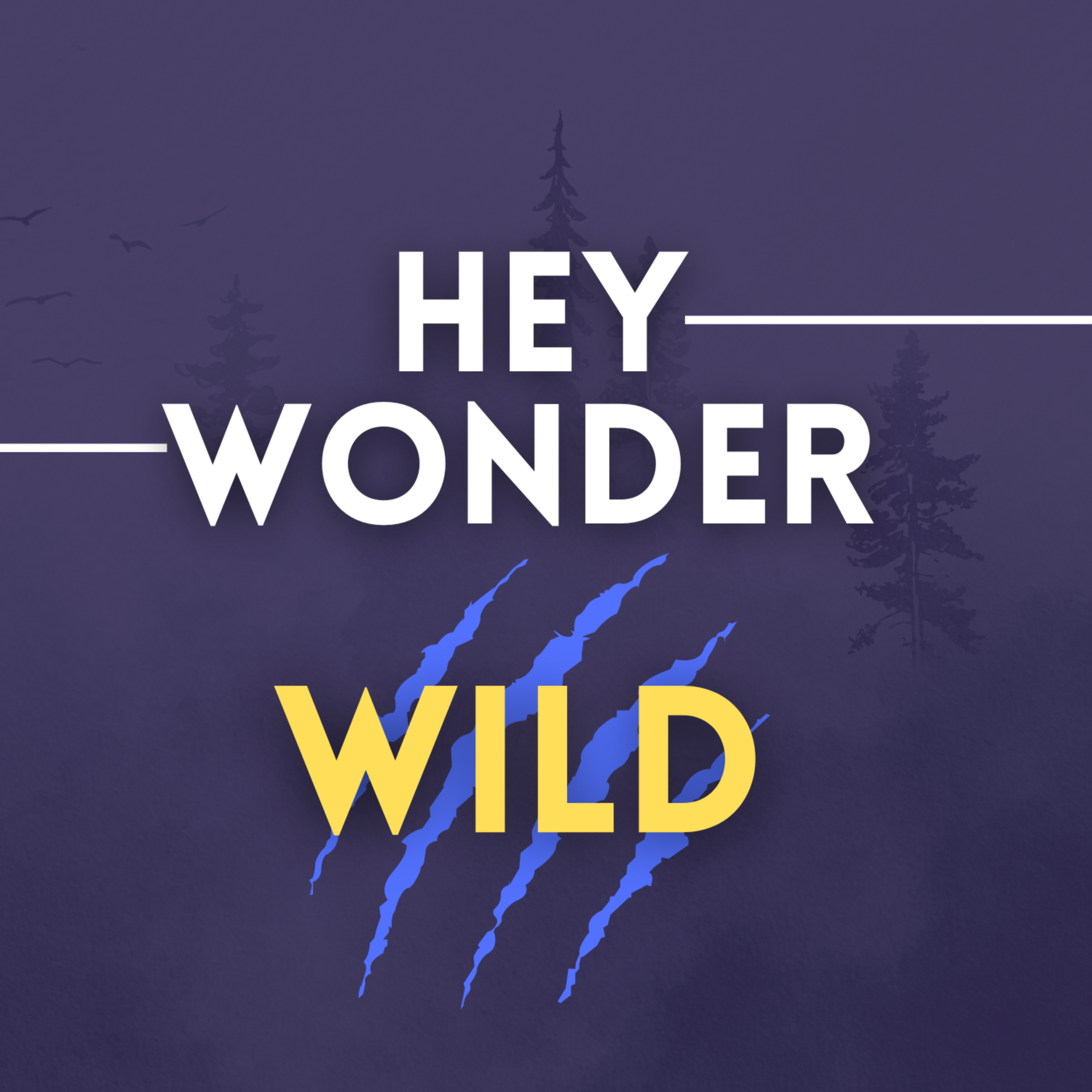 HeyWonder: Wild podcast artwork