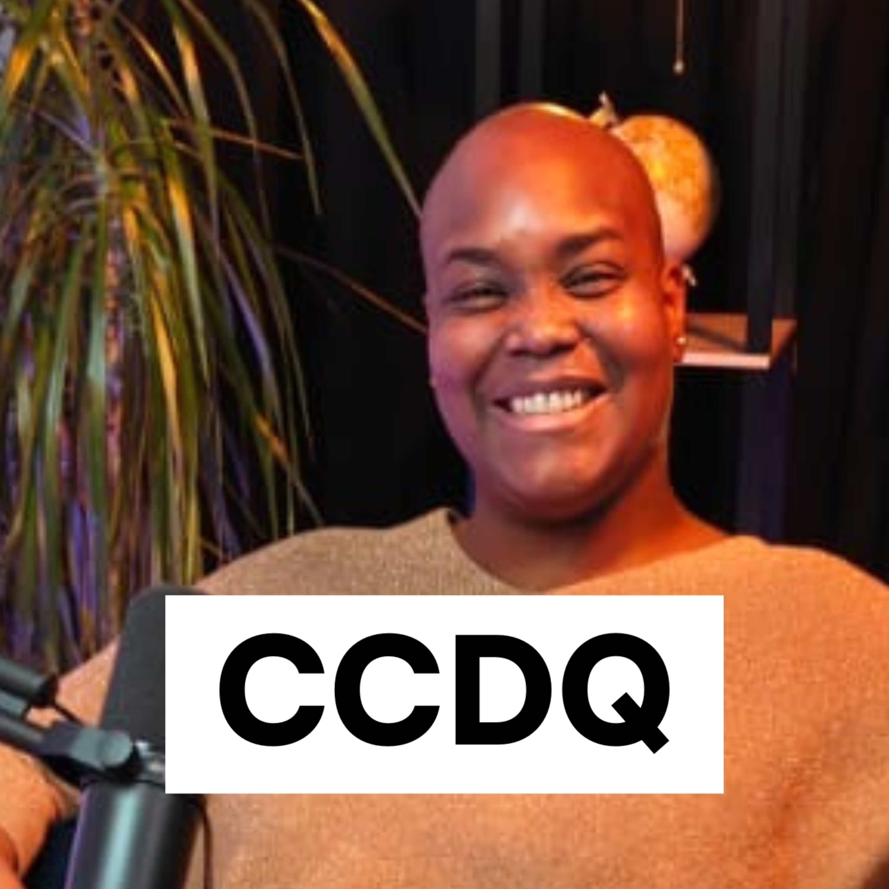 CCDQ – Concrètement, Ça Donne Quoi ?