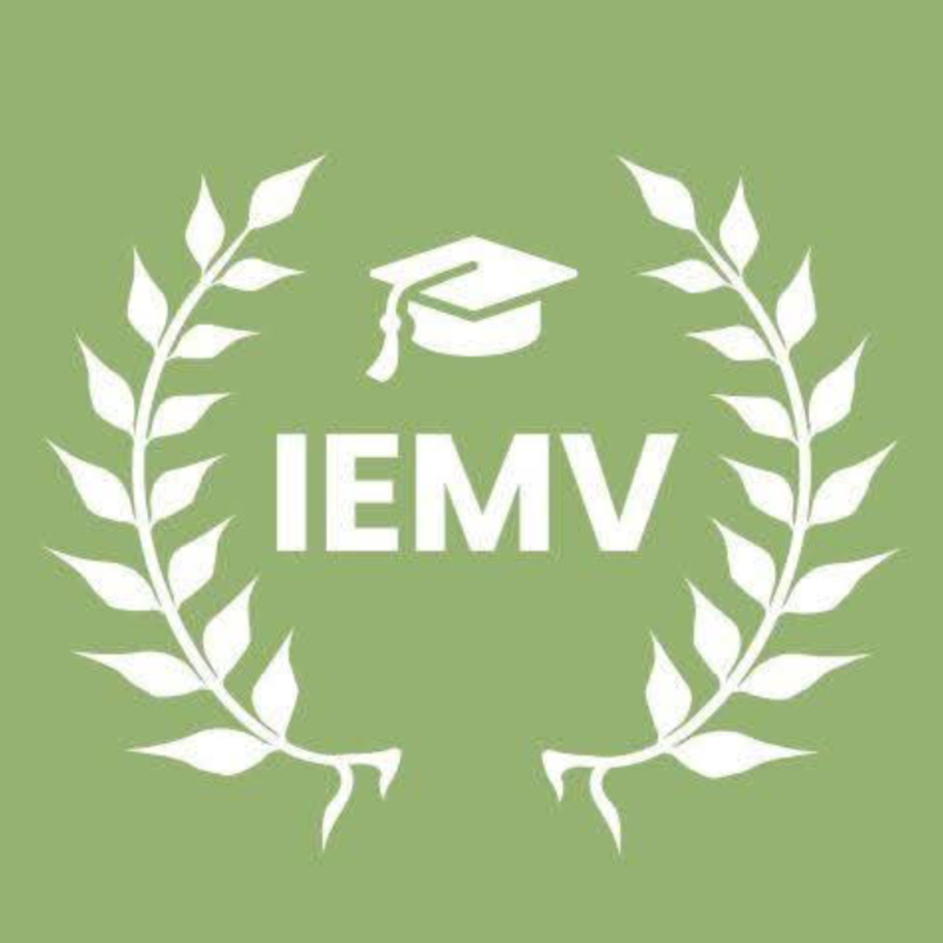 Instituto Educación Mente Vital Instituto Educación Mente Vital