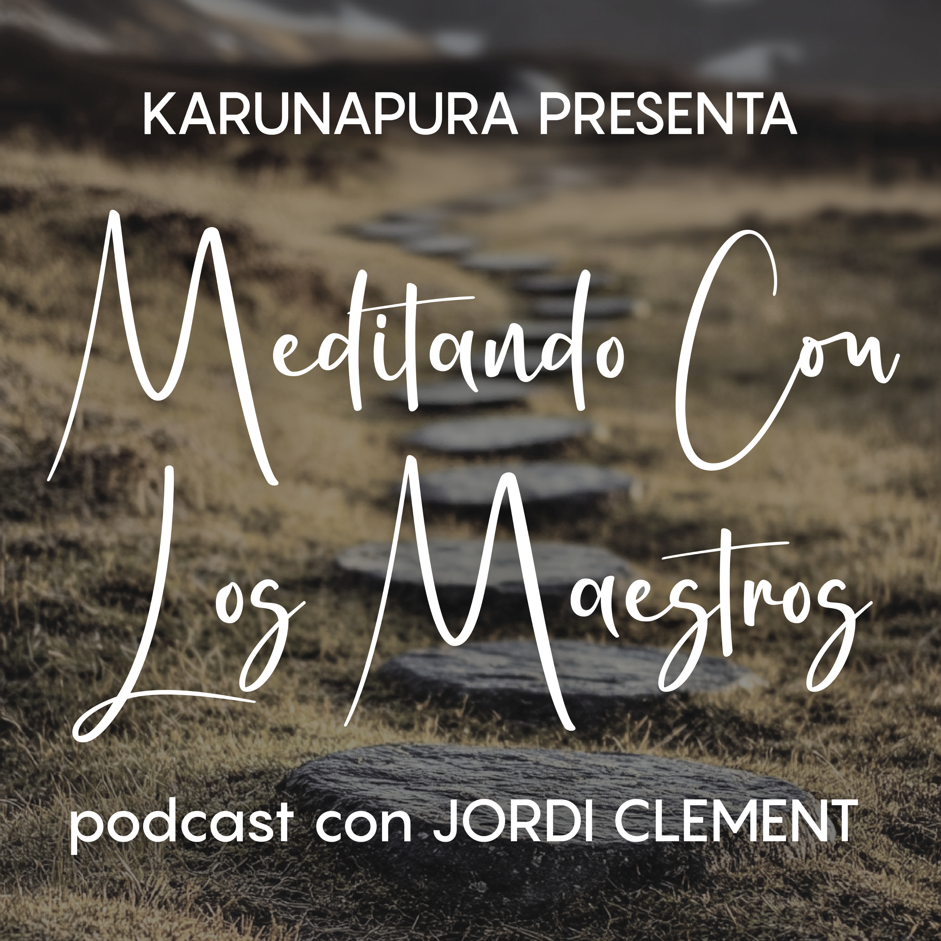 Meditando con los Maestros cover art