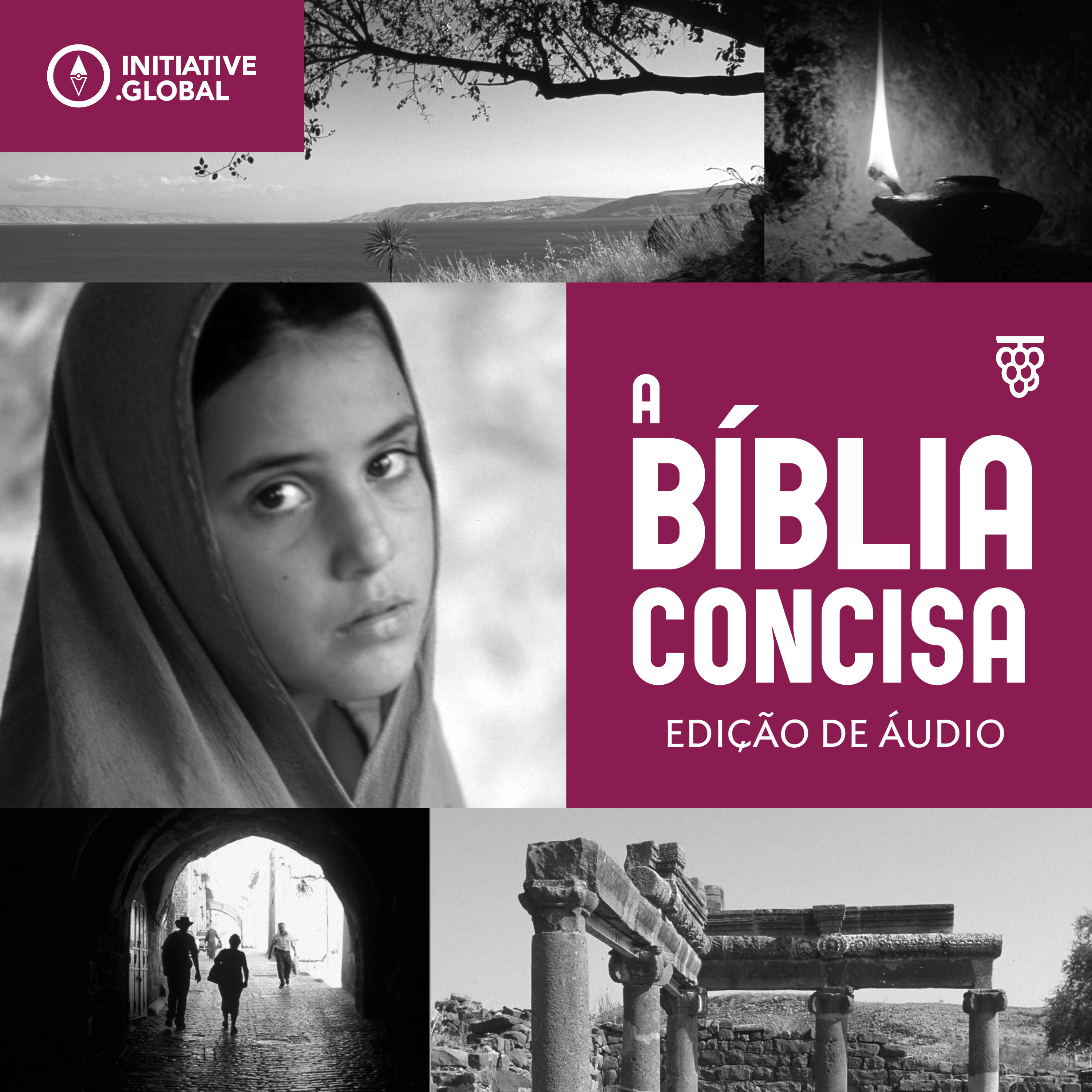 A Bíblia Concisa Edição de Áudio℗