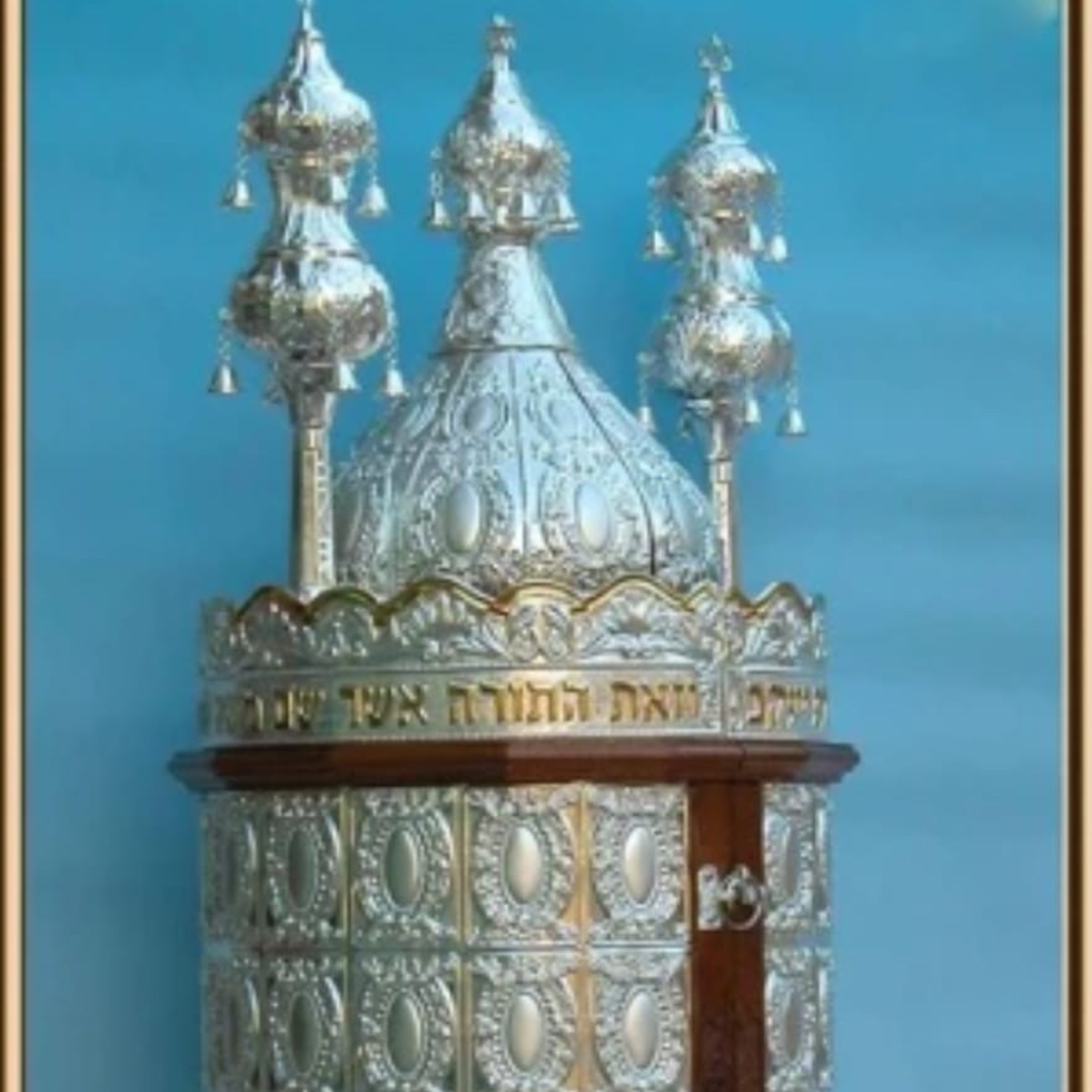My Torah Insights