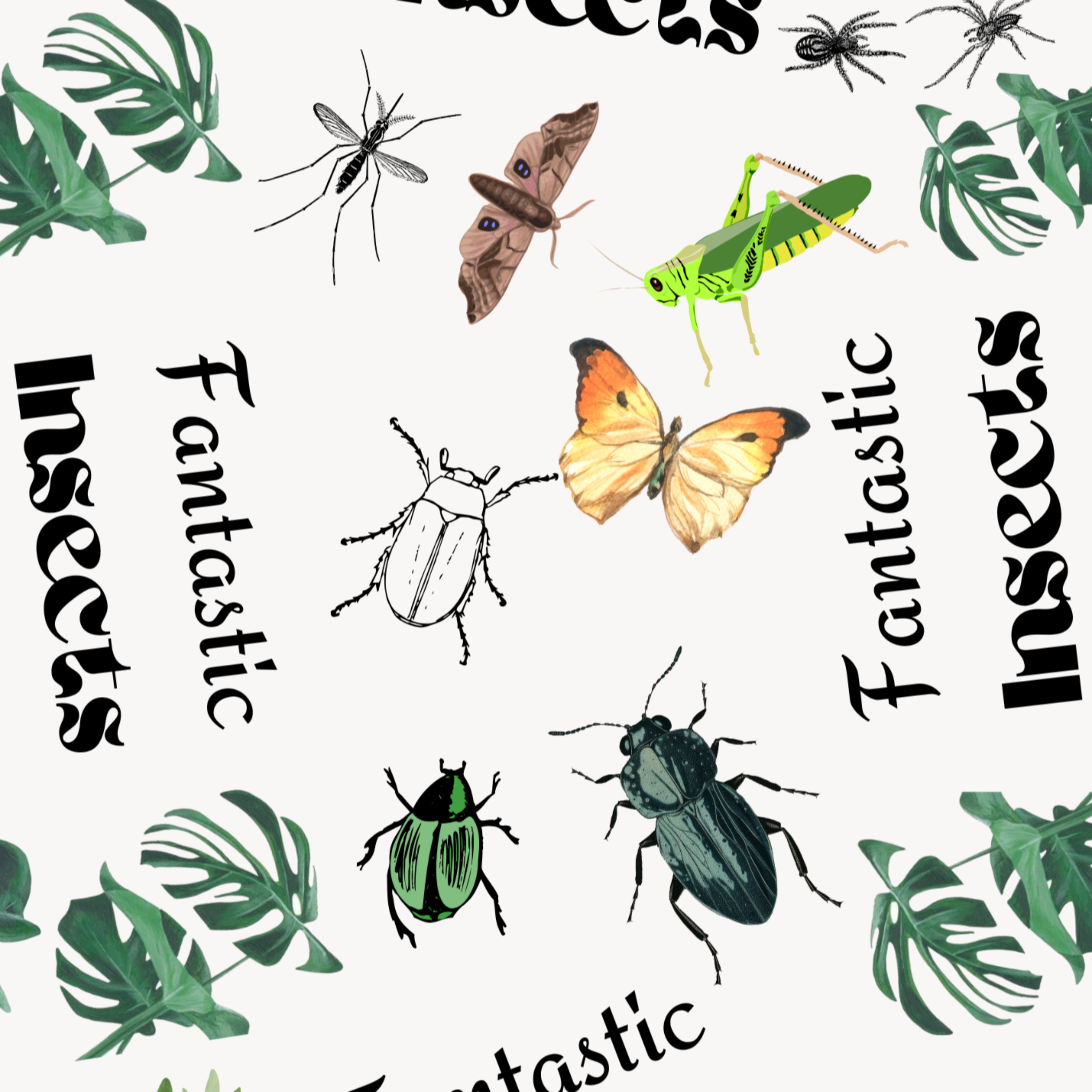 Fantastic Insects cover art