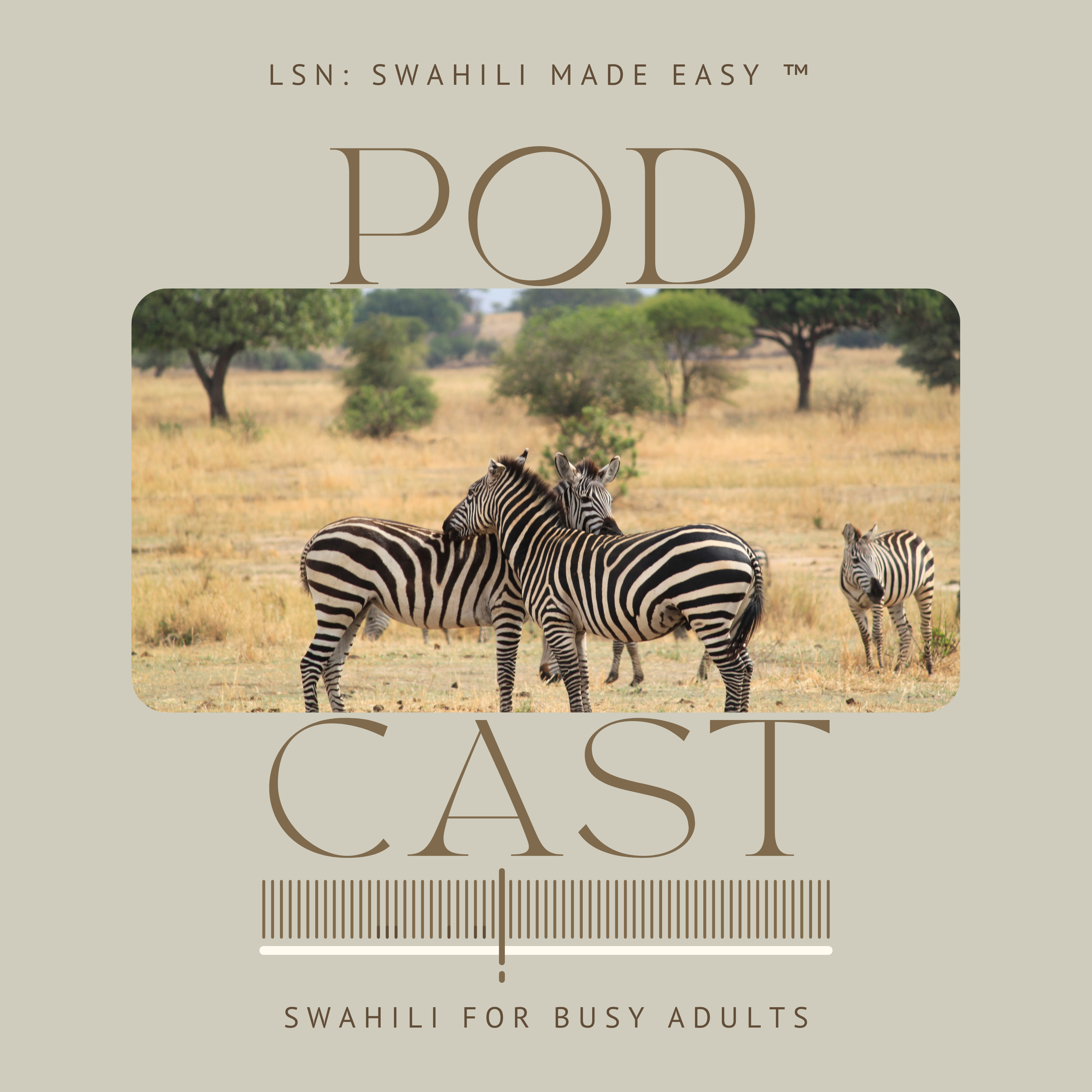 LSN: Swahili made easy ™ Podcast
