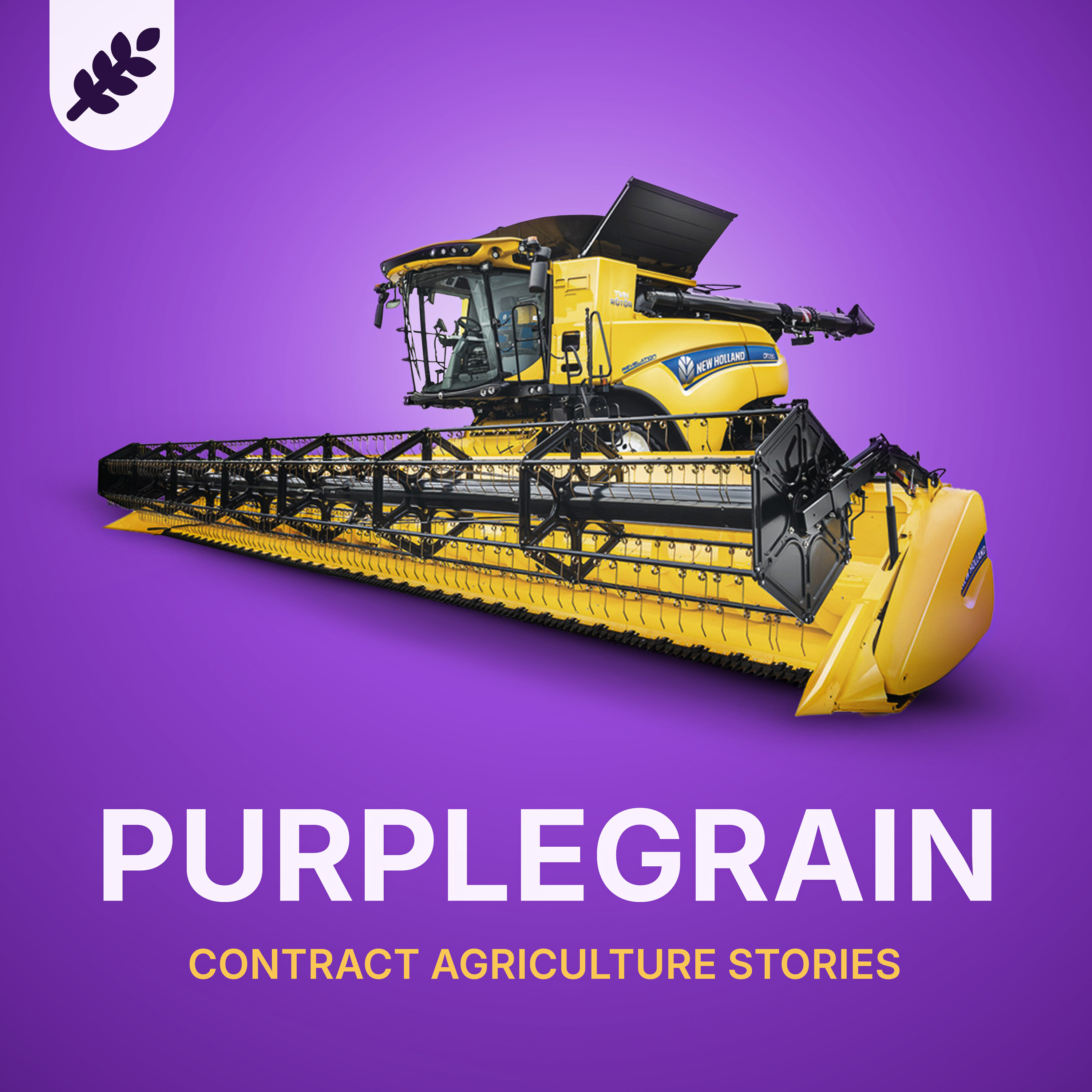 Purplegrain