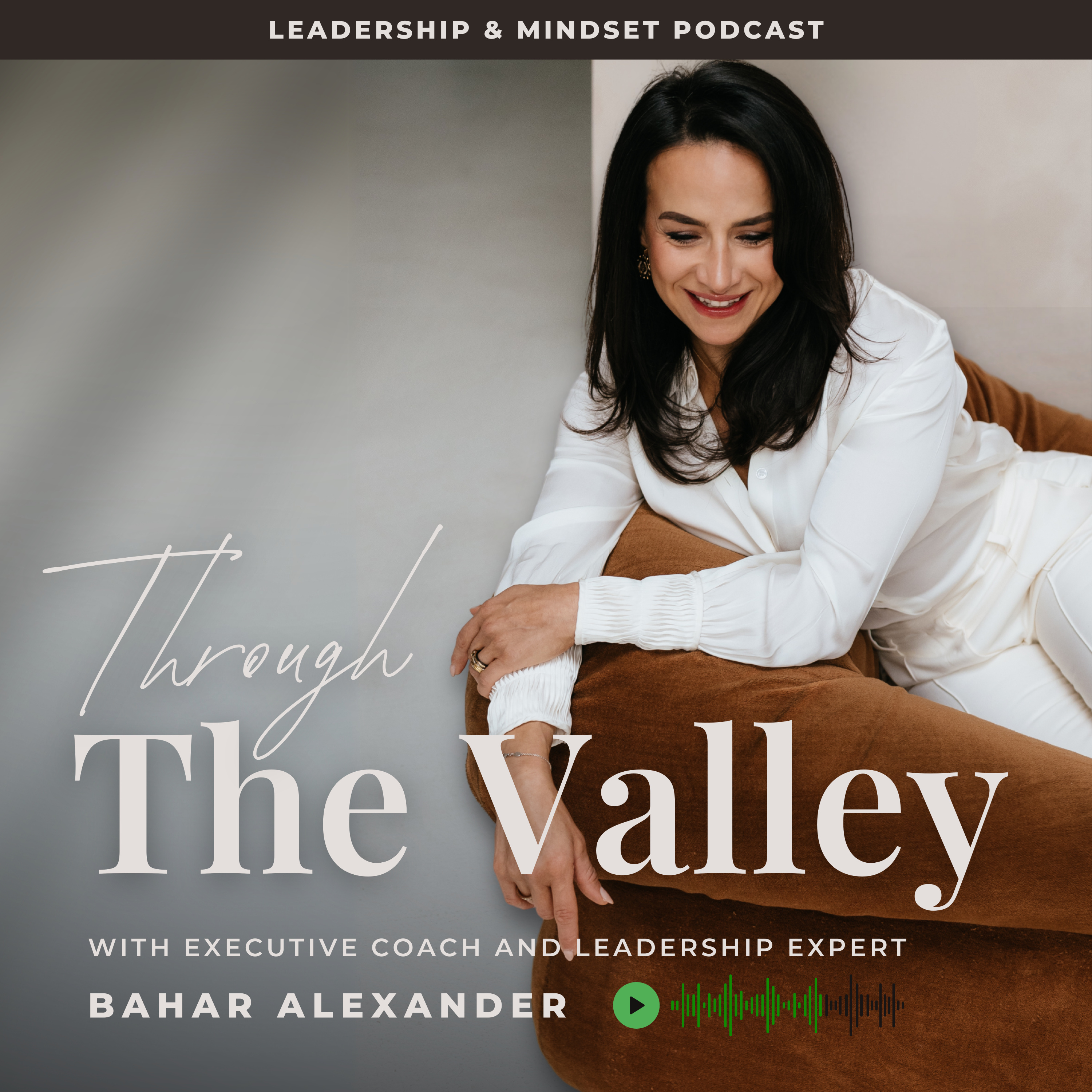 Through The Valley with Bahar Alexander cover