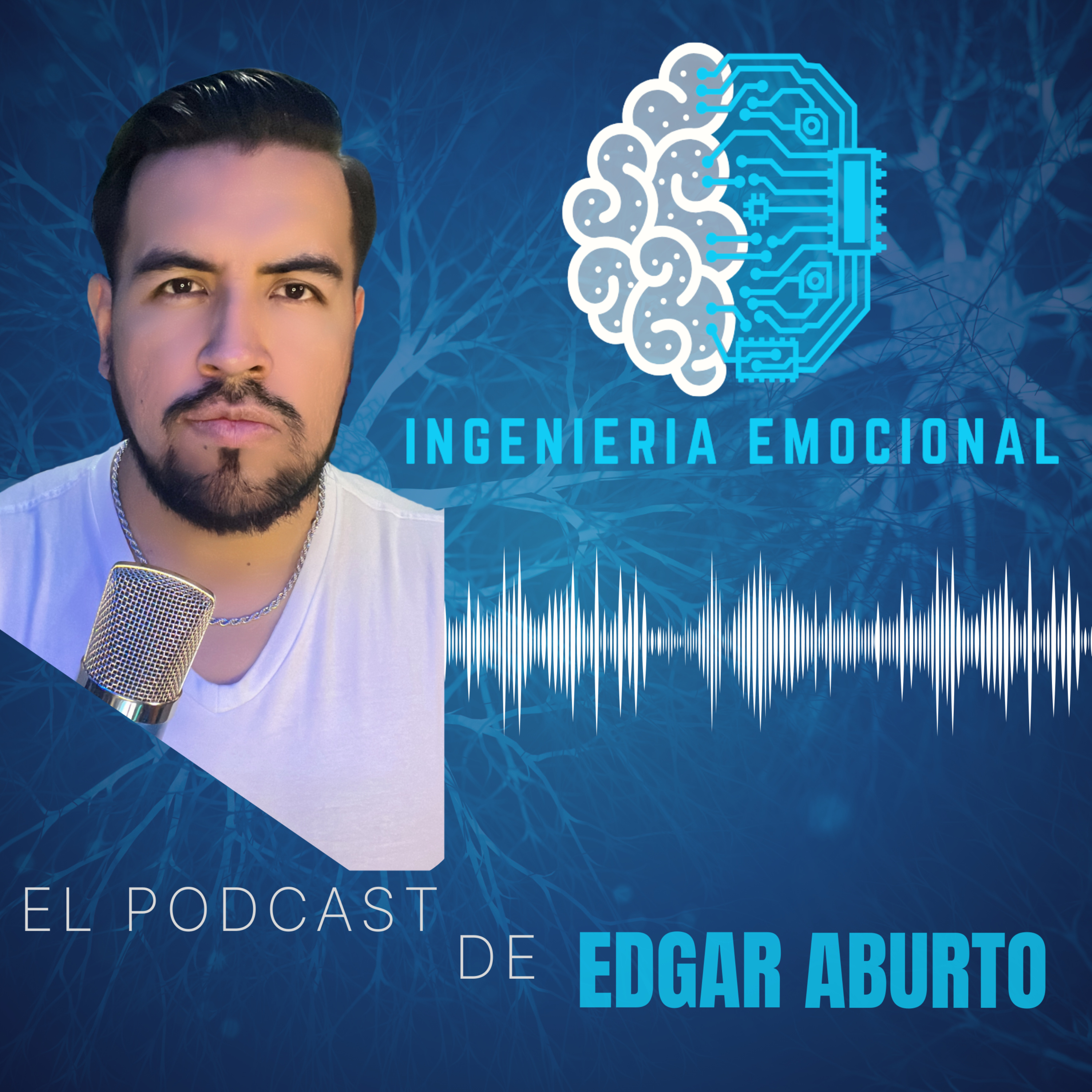 INGENIERÍA EMOCIONAL