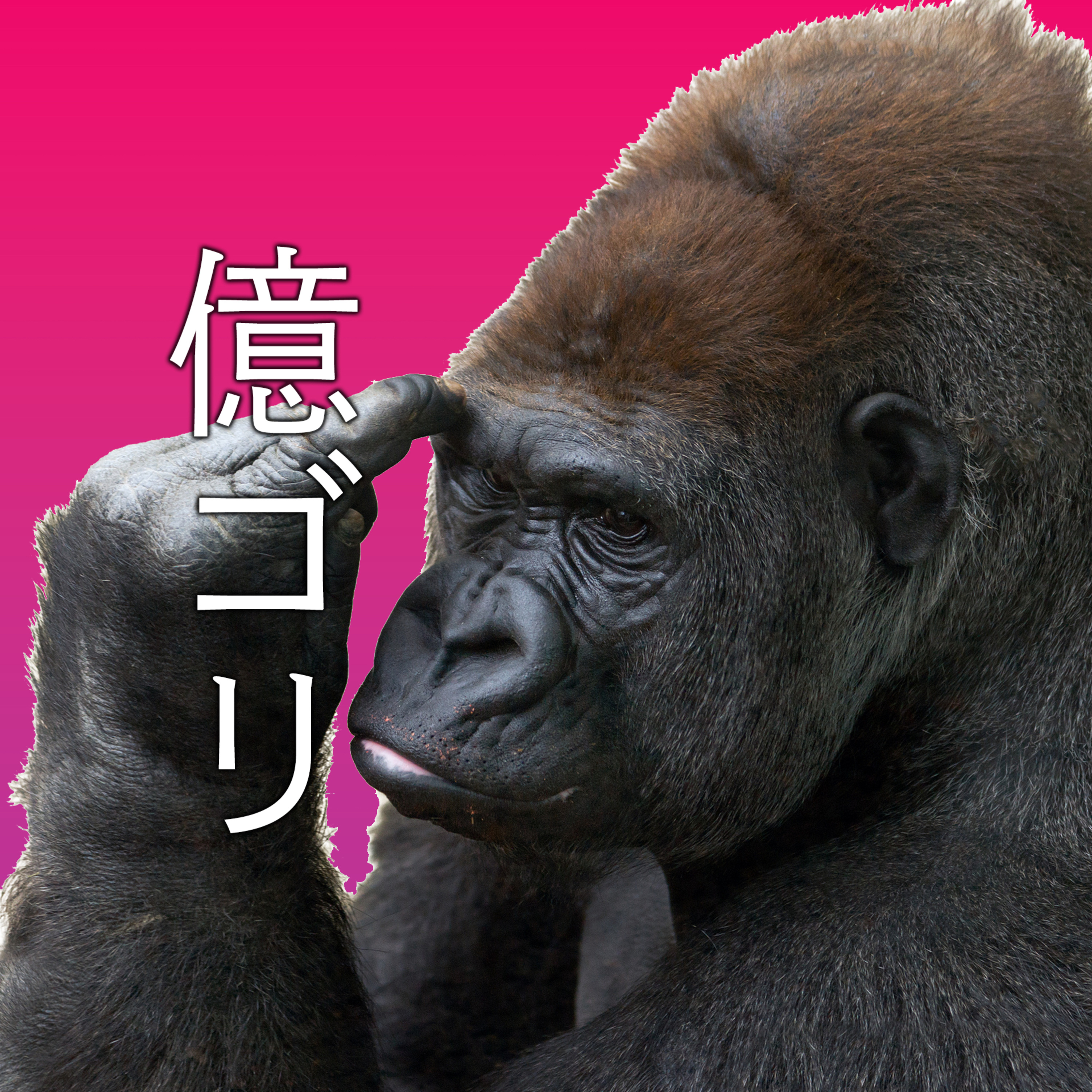 ゴリゴリ億ろうゼ