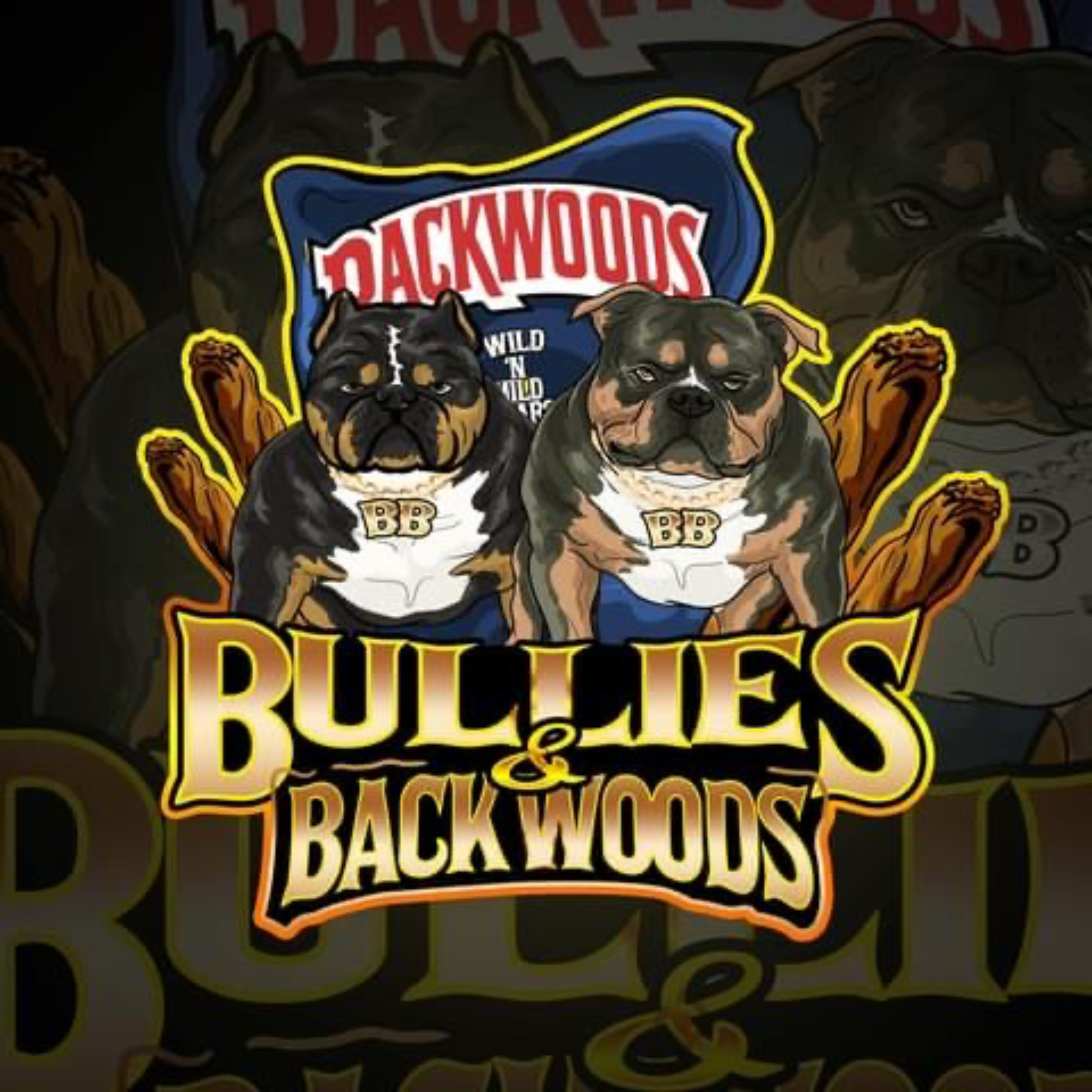 Bullies & backwoods podcast artwork