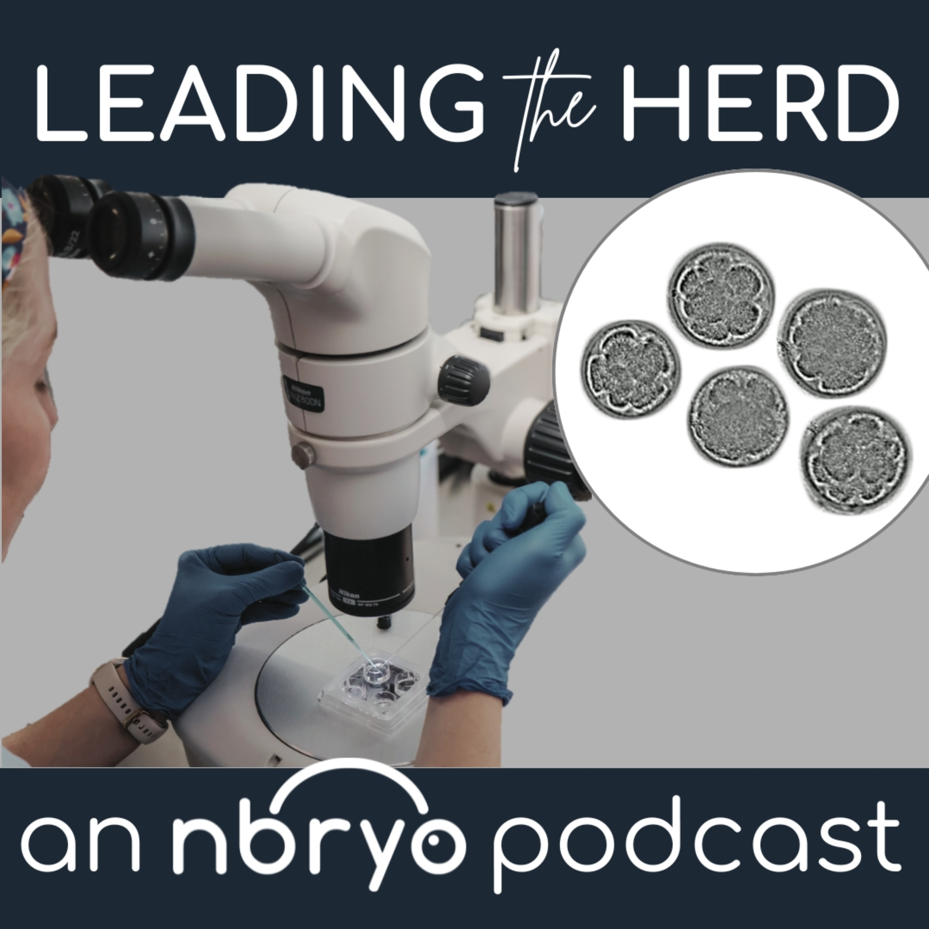 Leading the Herd - Innovations in Bovine Breeding
