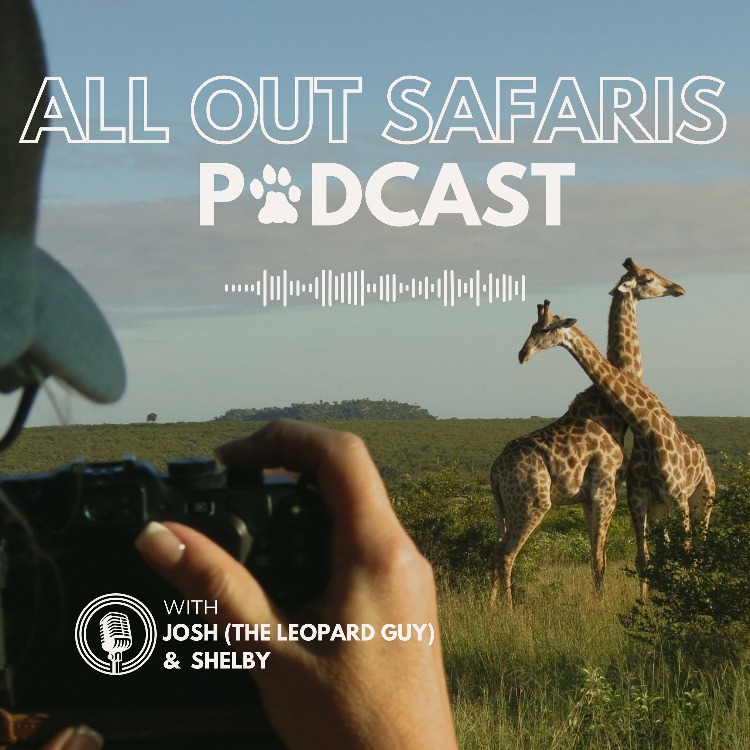 All Out Safaris Podcast podcast artwork
