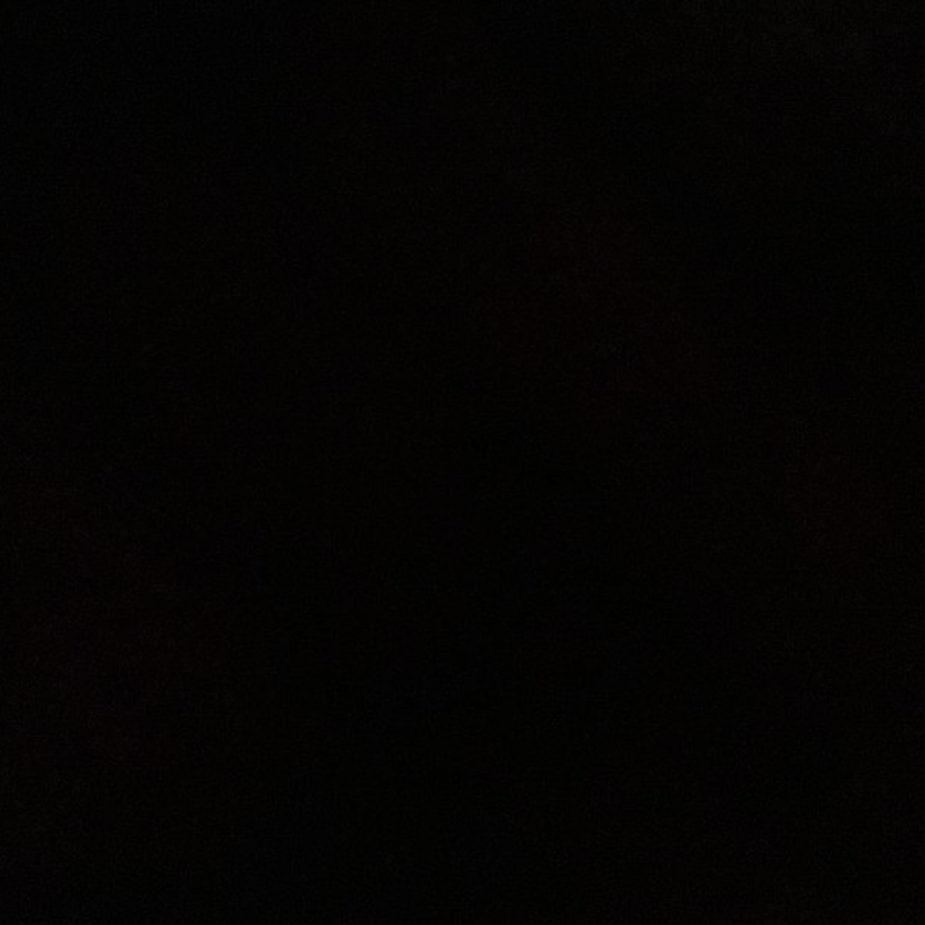 xx录