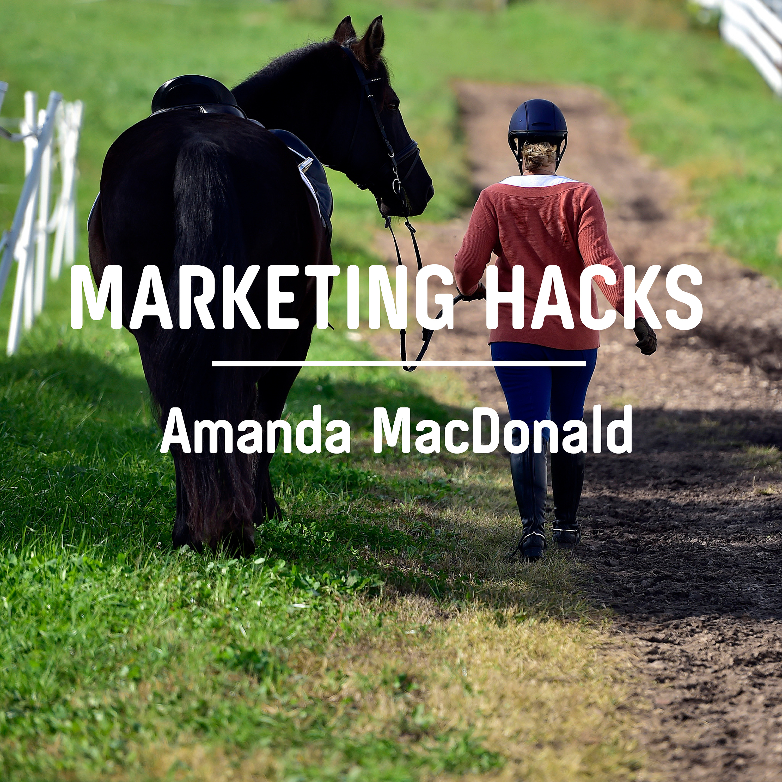 Marketing Hacks Podcast podcast artwork