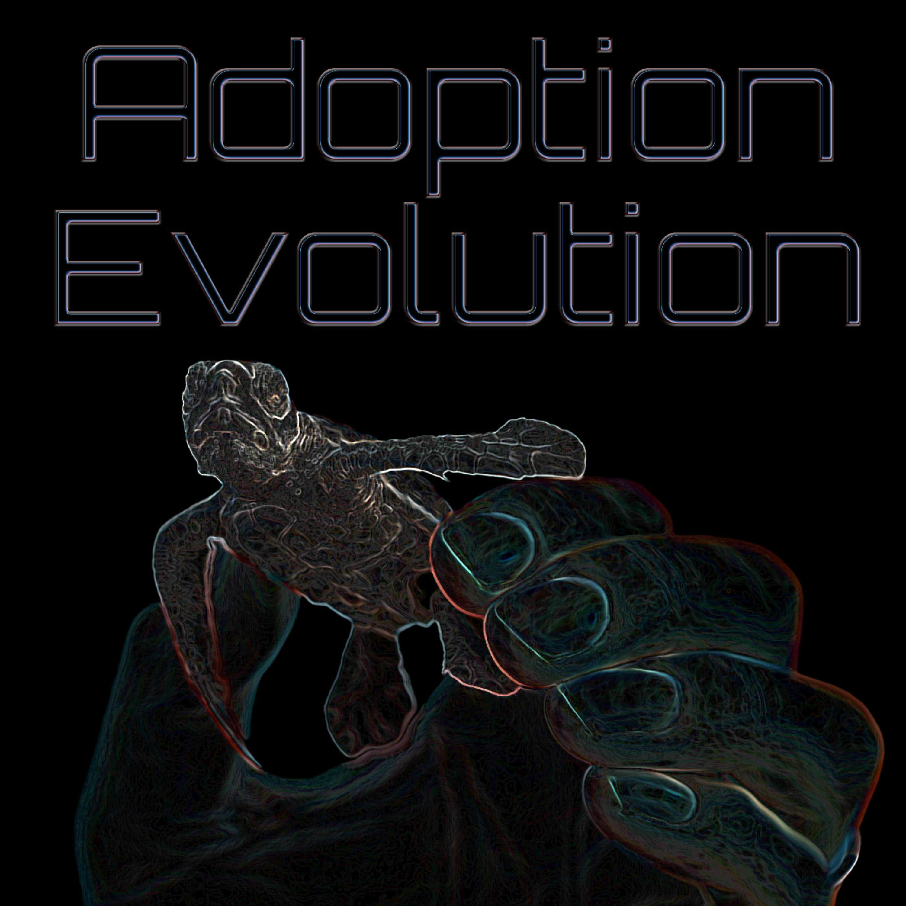 Adoption Evolution