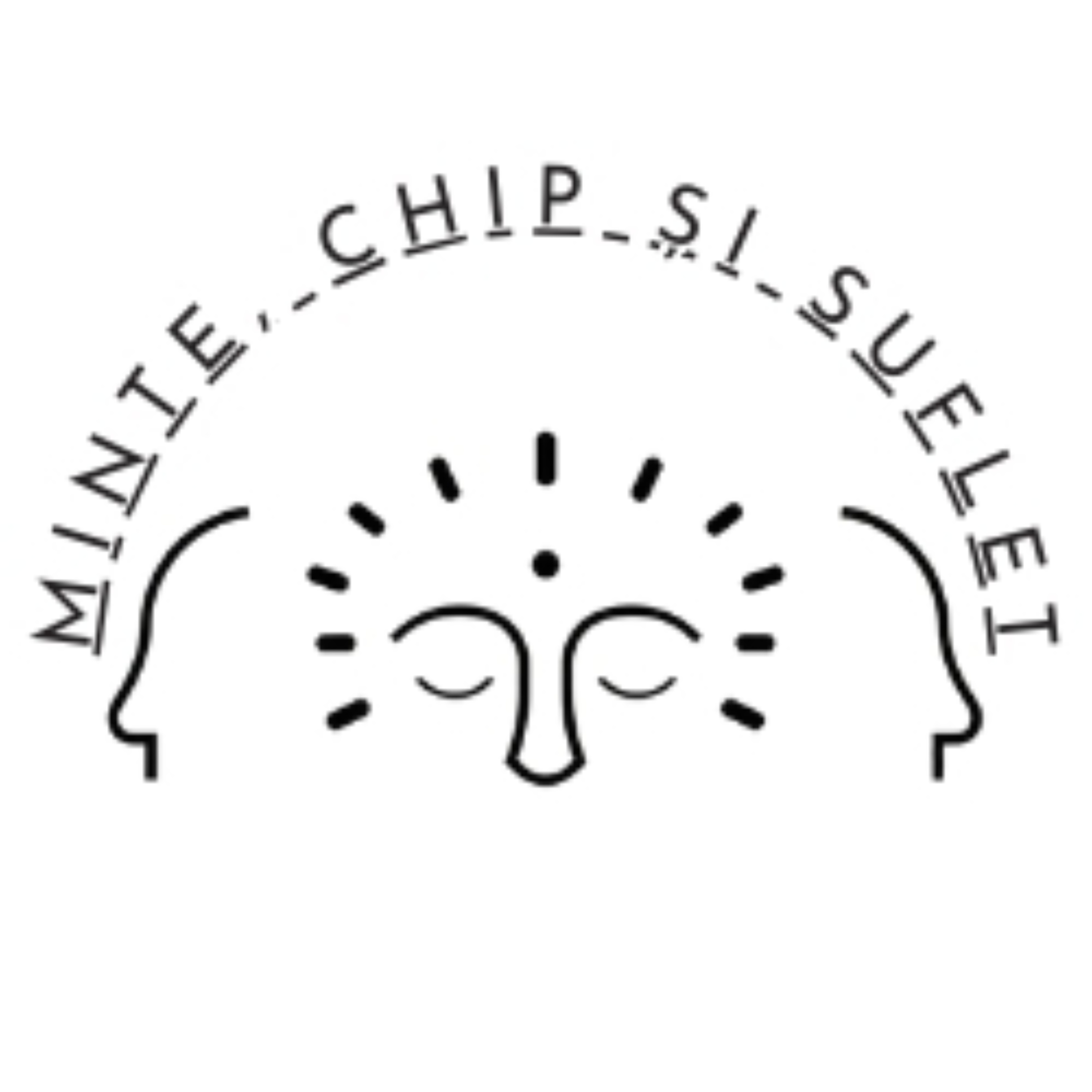 Minte, Chip și Suflet podcast artwork