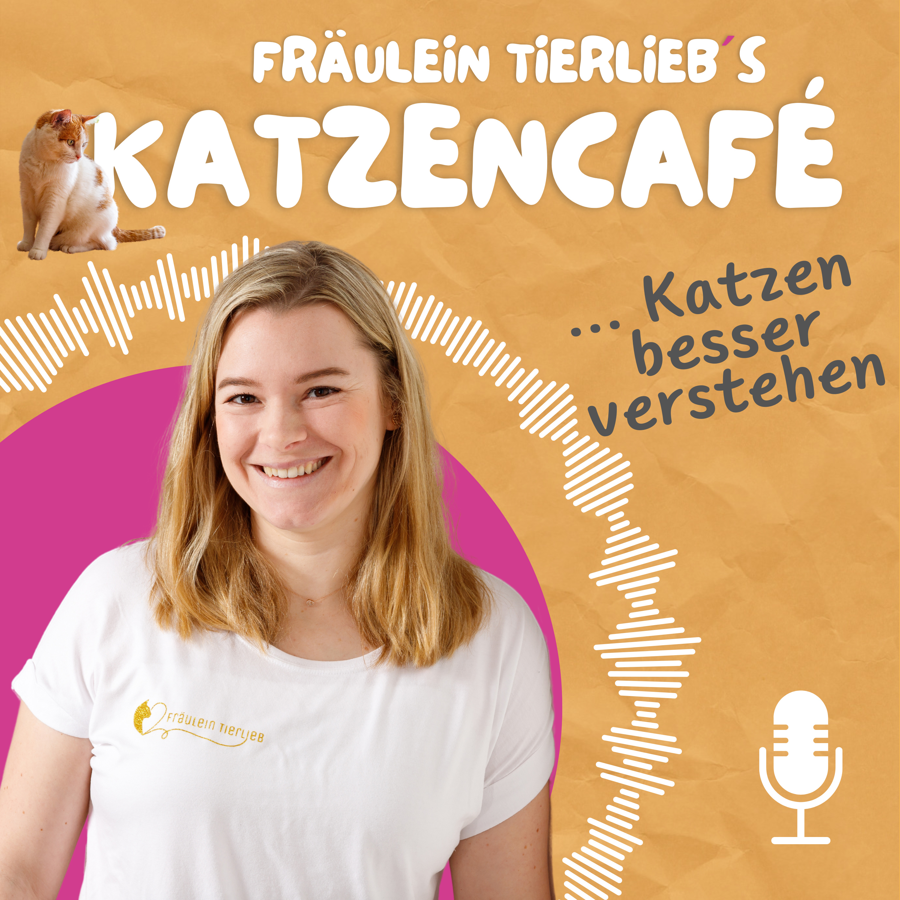 Katzencafé - Katzen besser verstehen