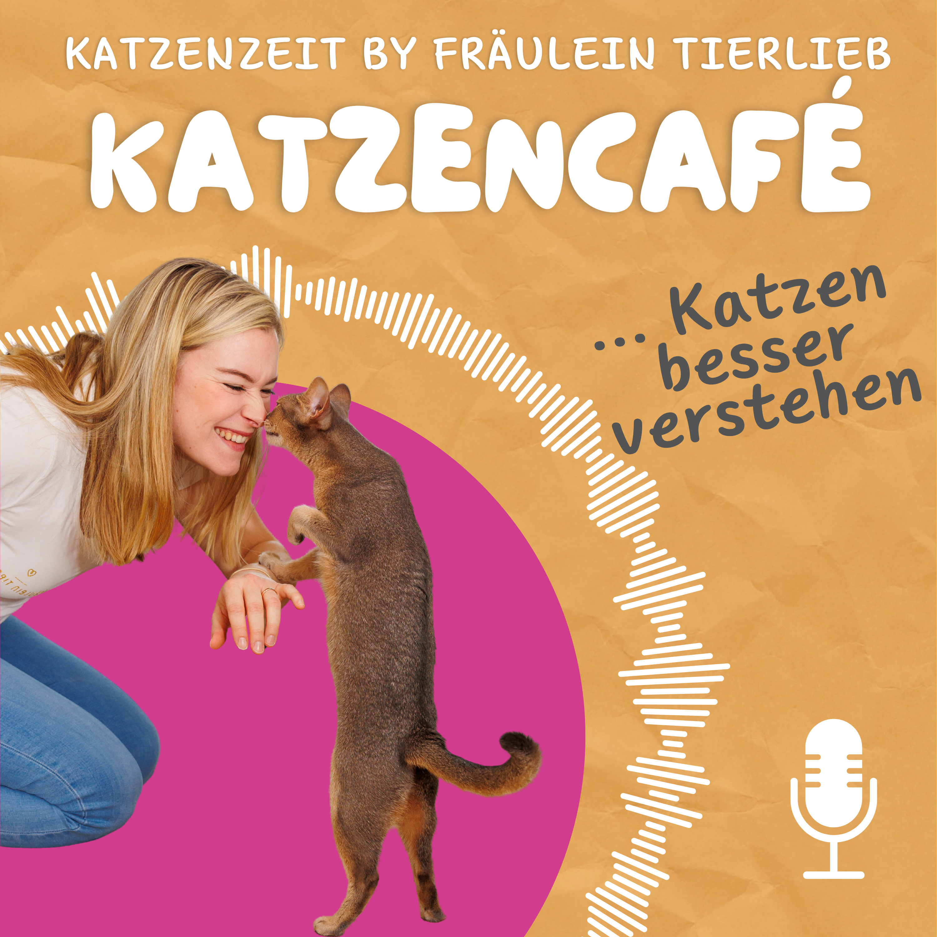 Katzencafé - Katzen besser verstehen