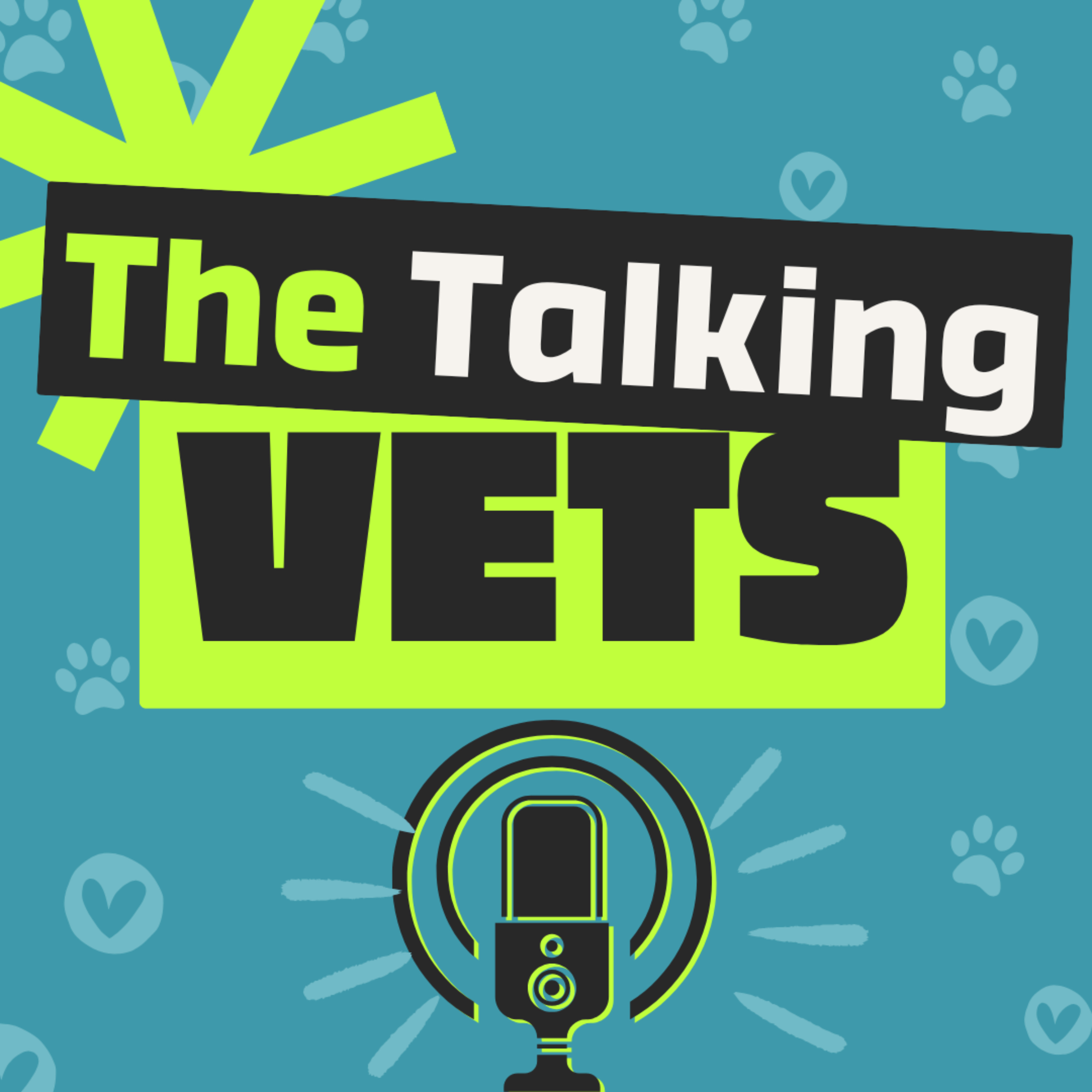 The Talking Vets podcast artwork