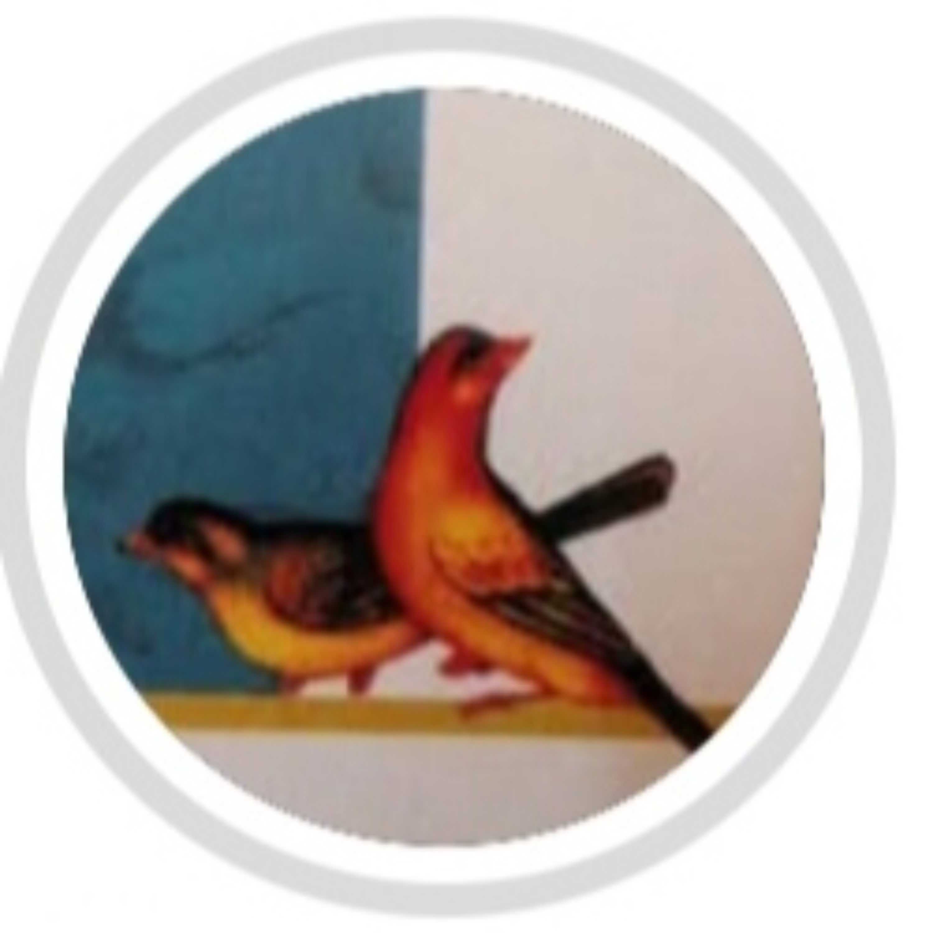 پادکست سازک 
Sazakmusic podcast