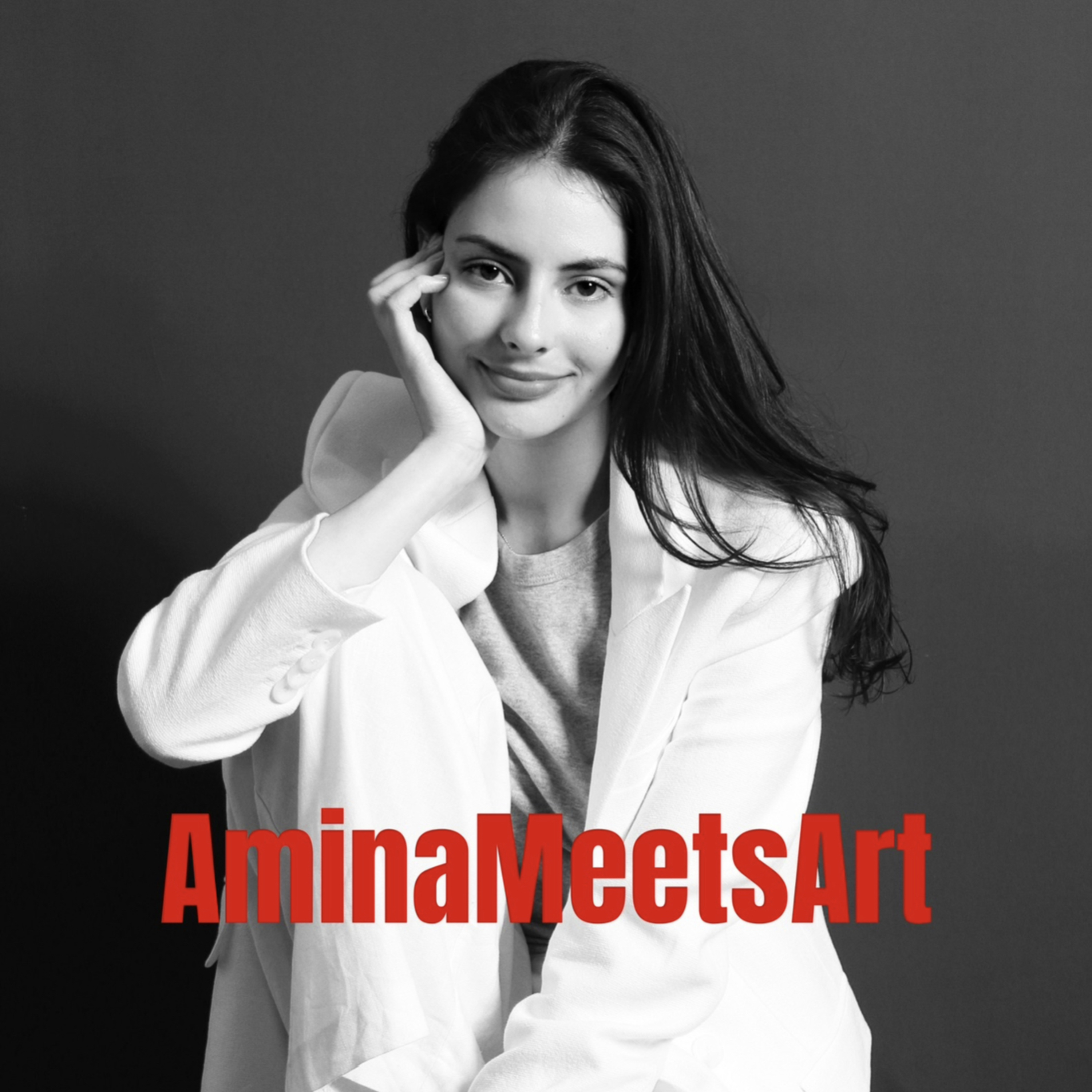 Amina Meets Art