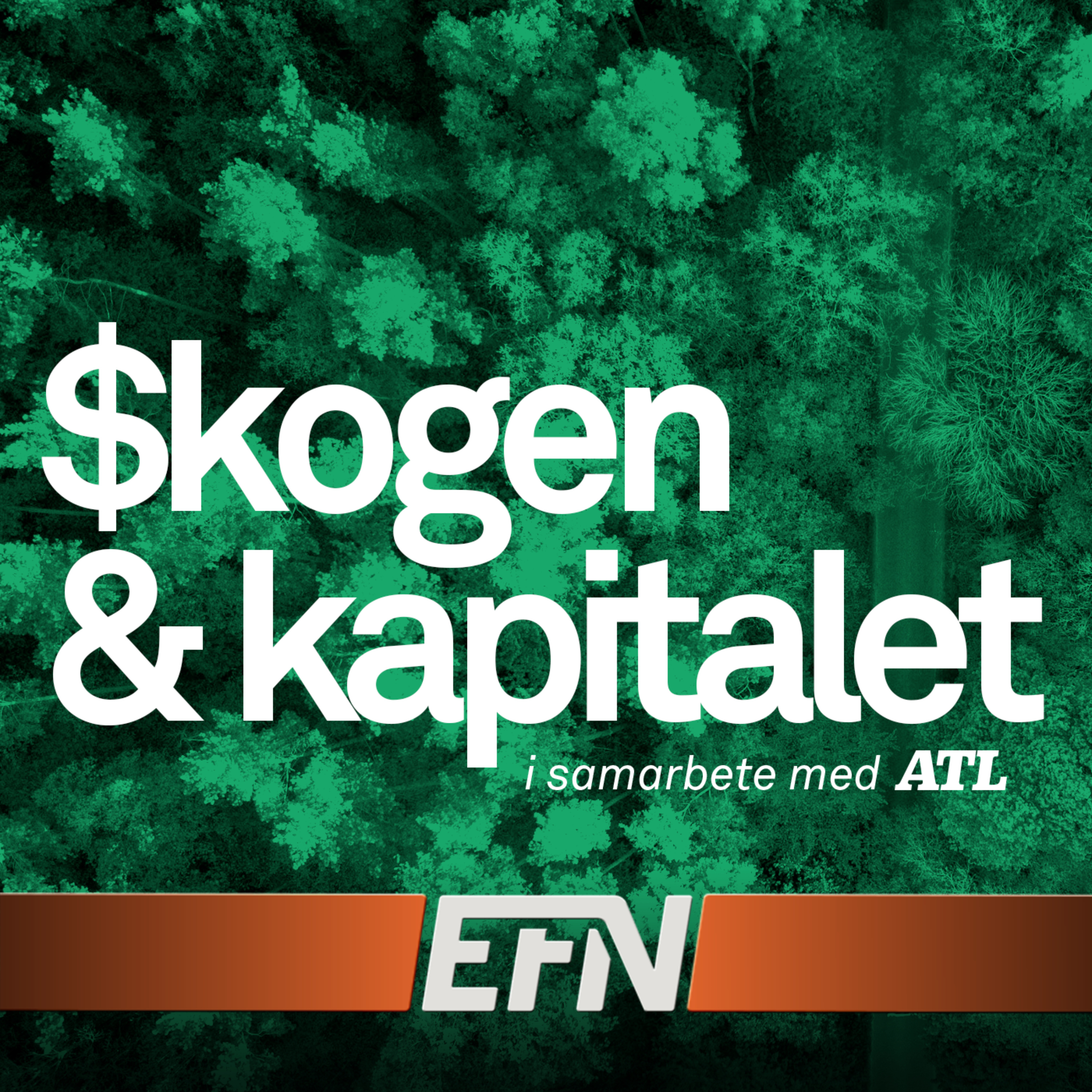 Skogen och kapitalet