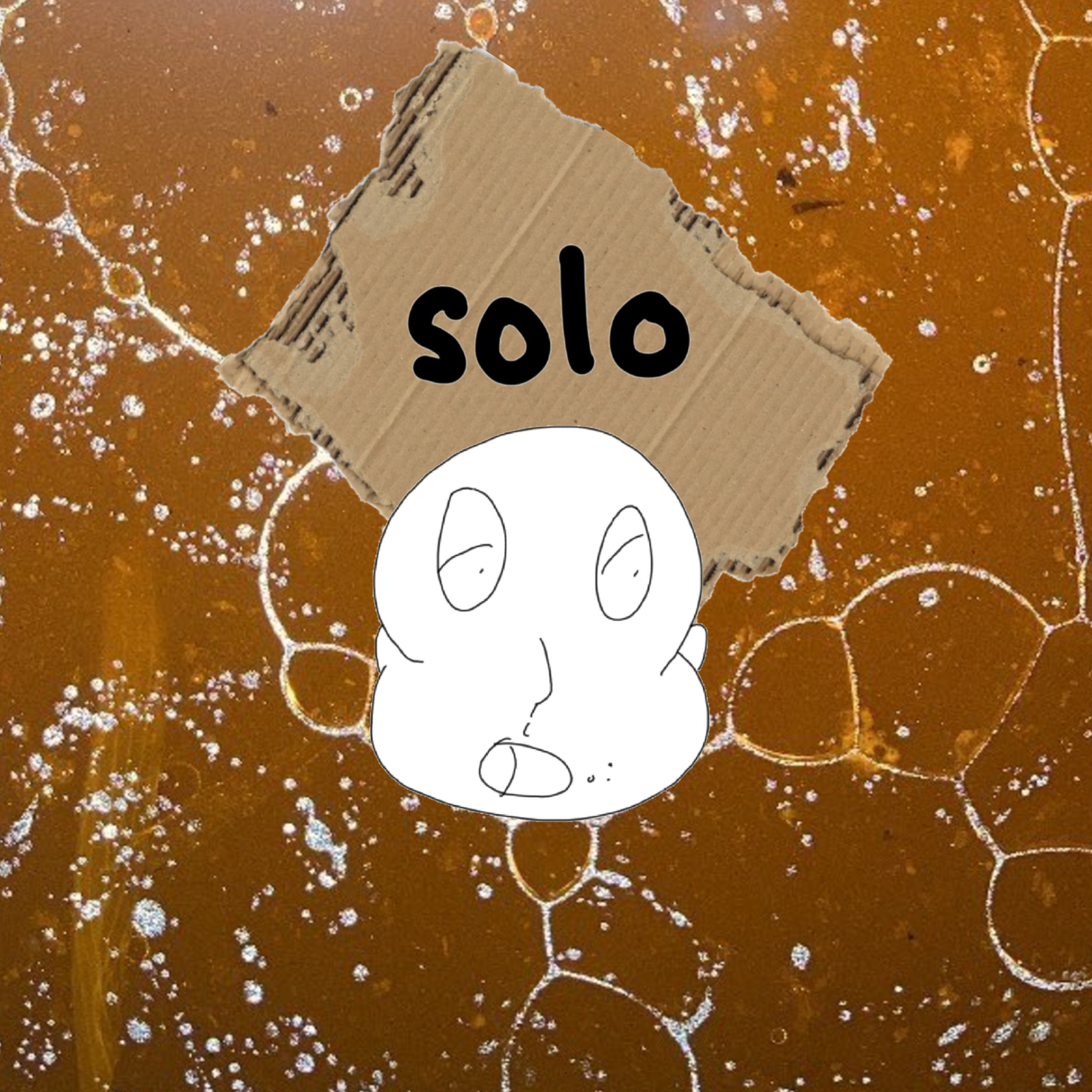 SOLO