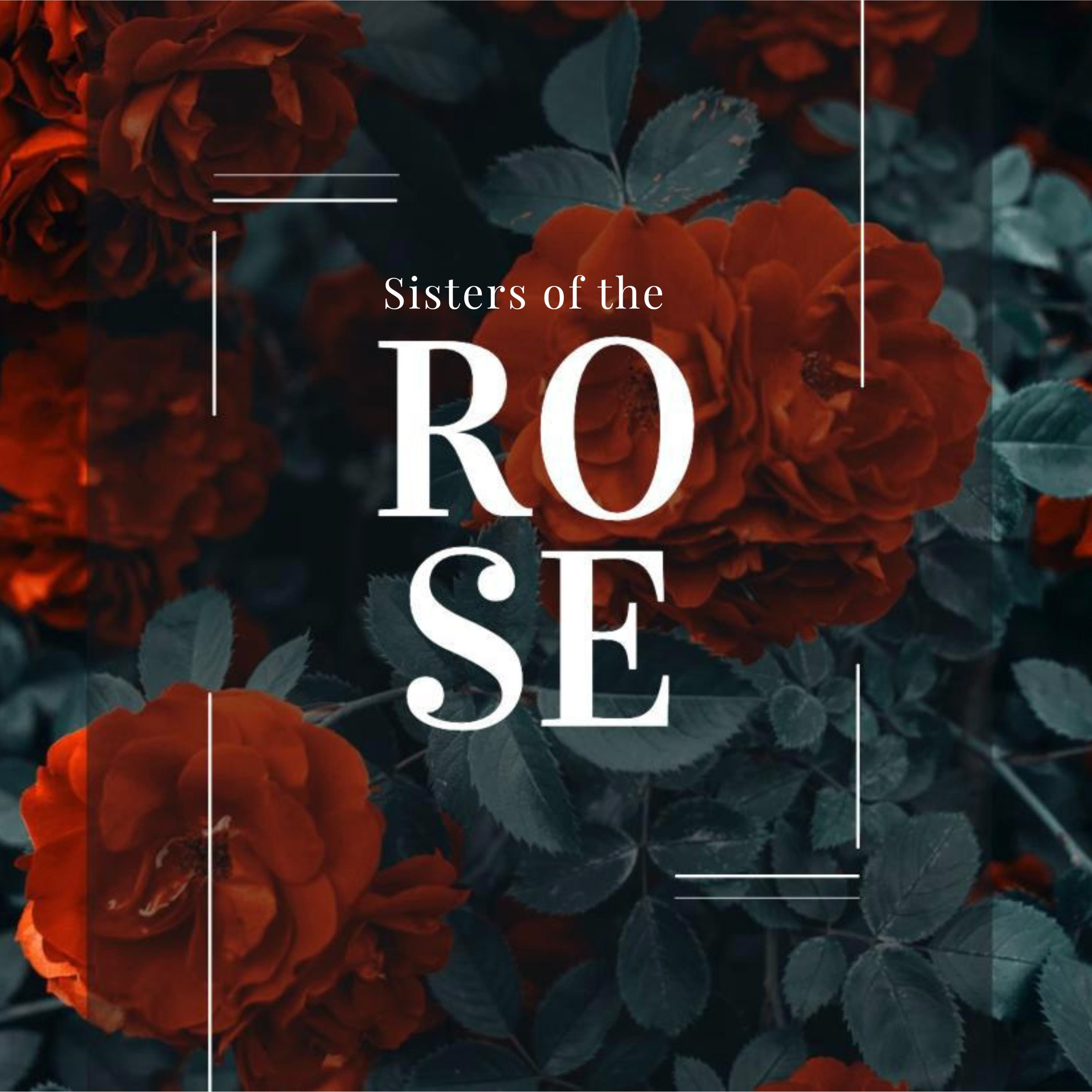 Sisters of the Rose