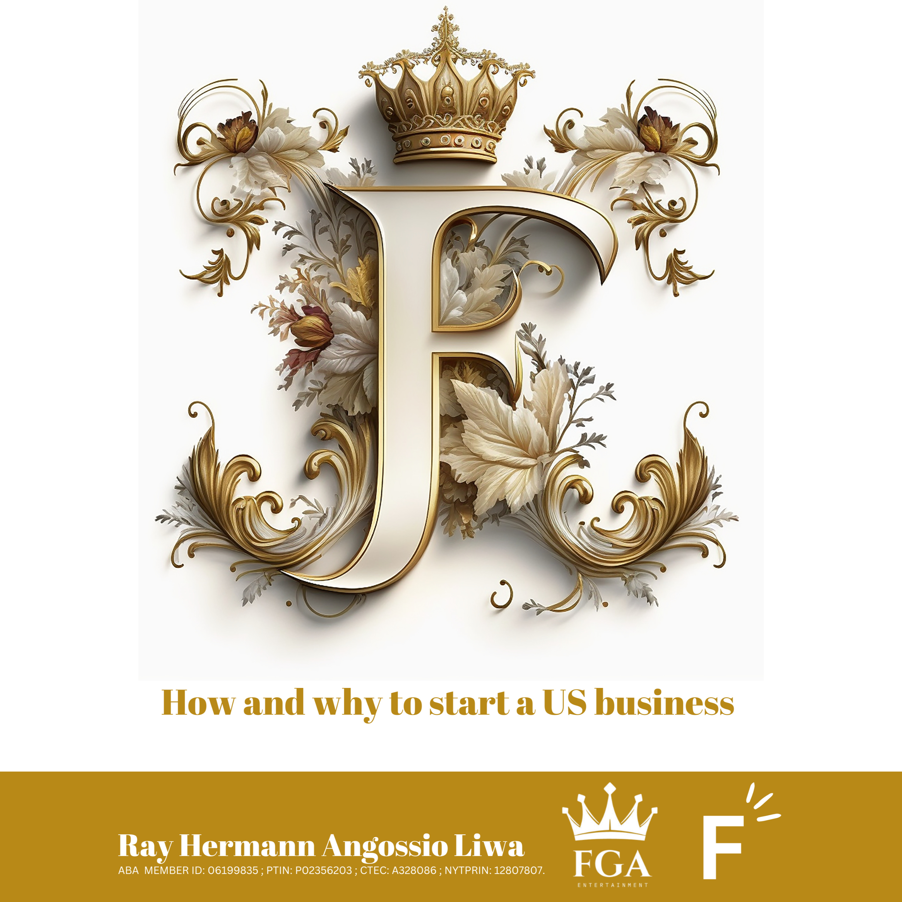 How and Why to Start a US business podcast artwork