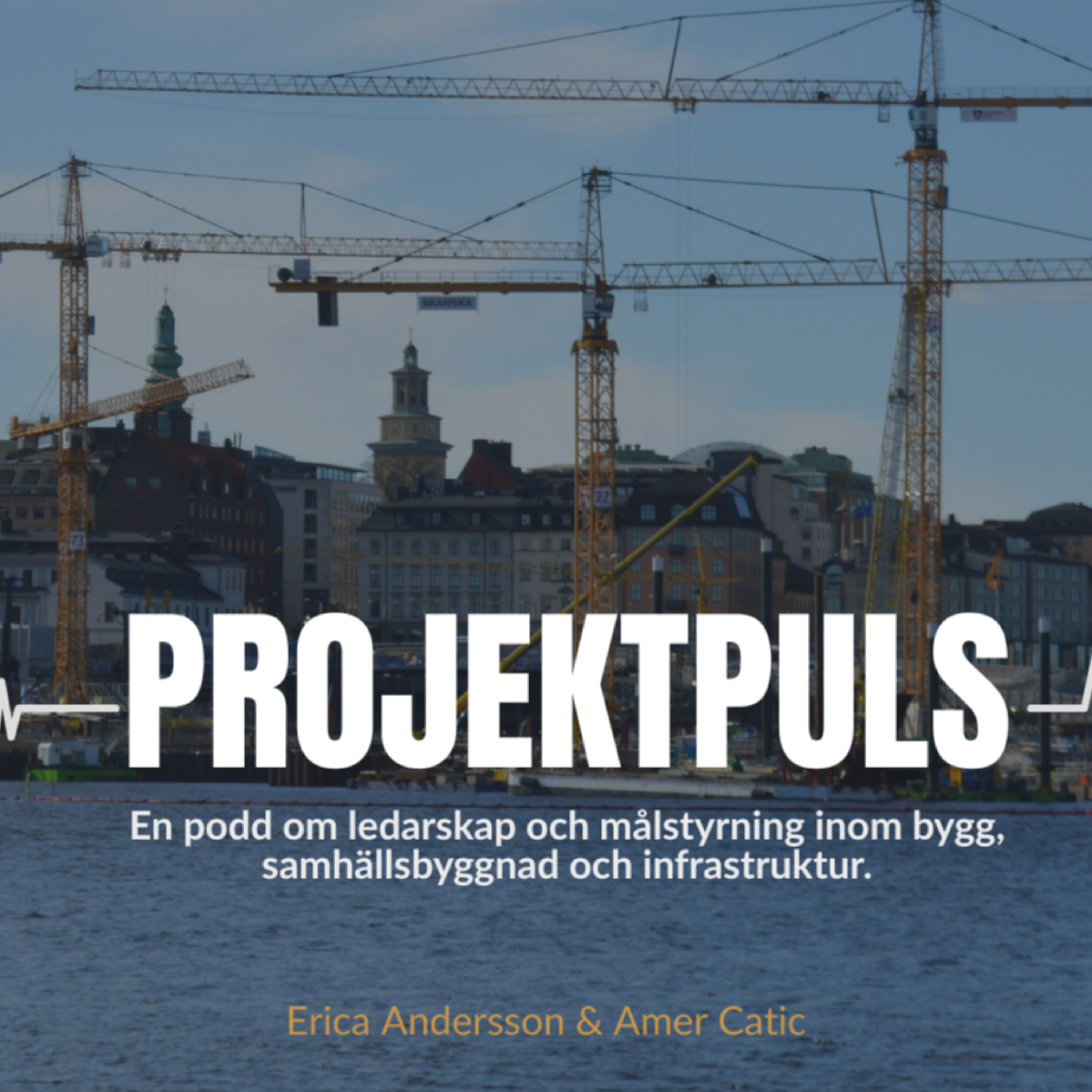 Projektpuls cover art