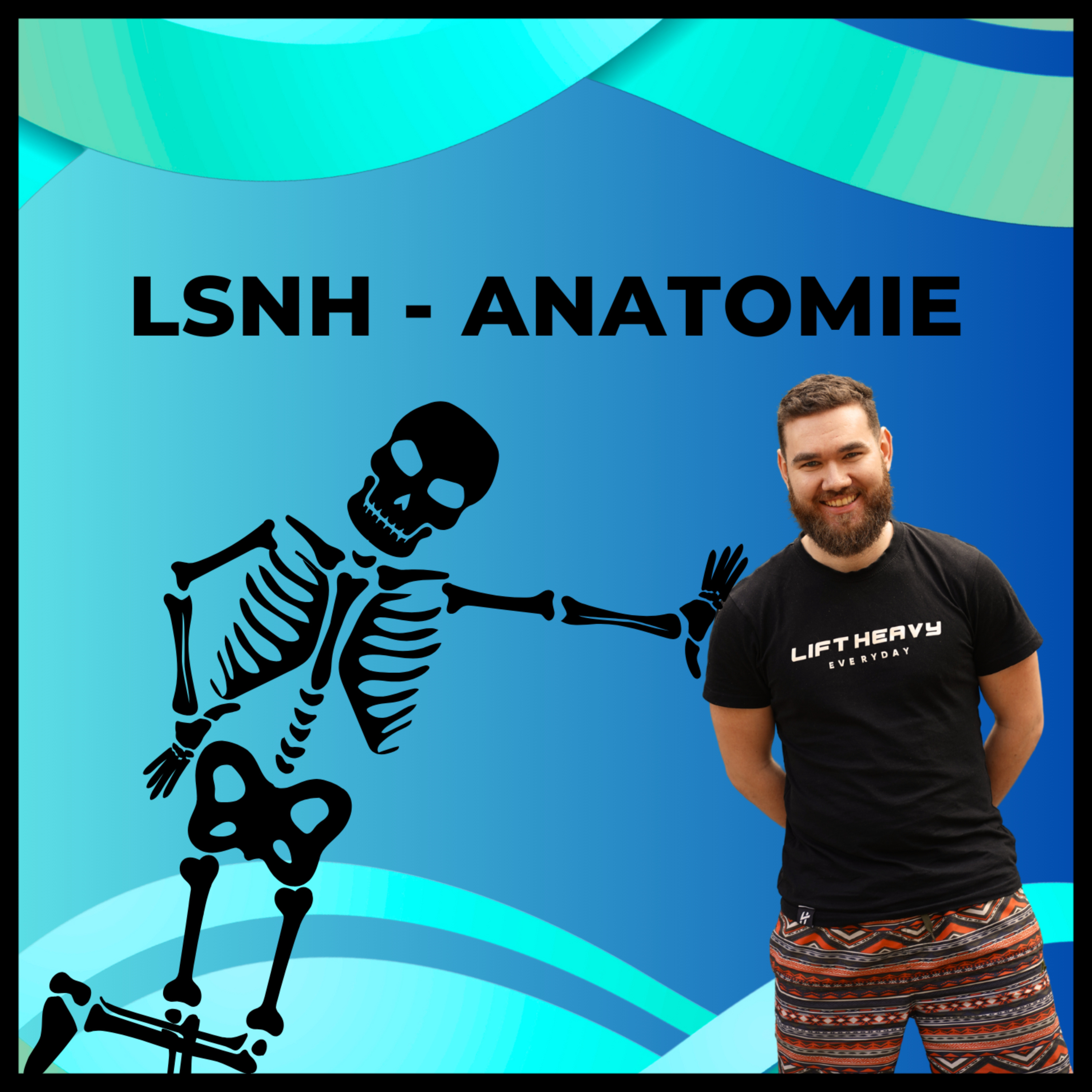 LSNH - Anatomie