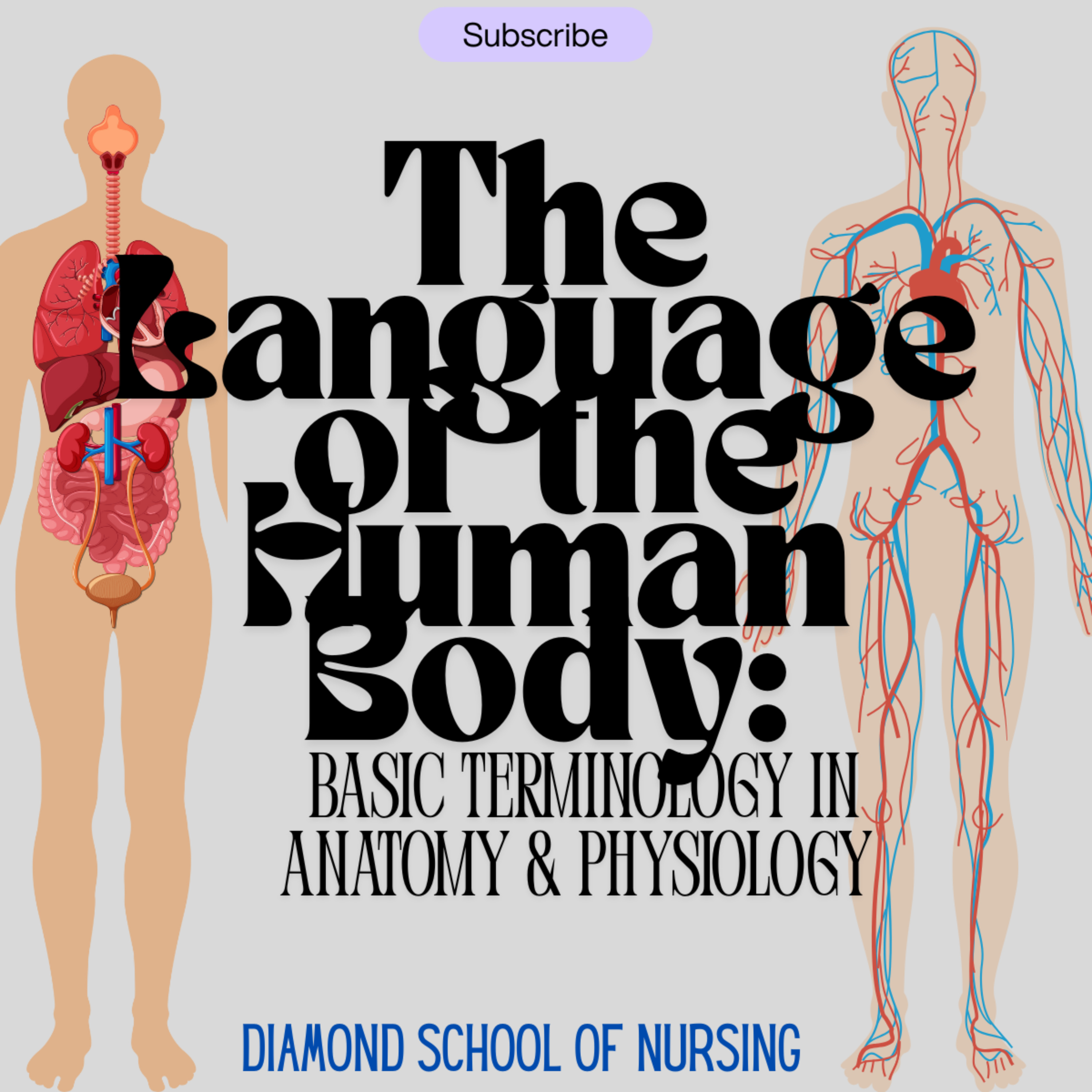 The Language of the Human Body: Basic Terminology in Anatomy And Physiology