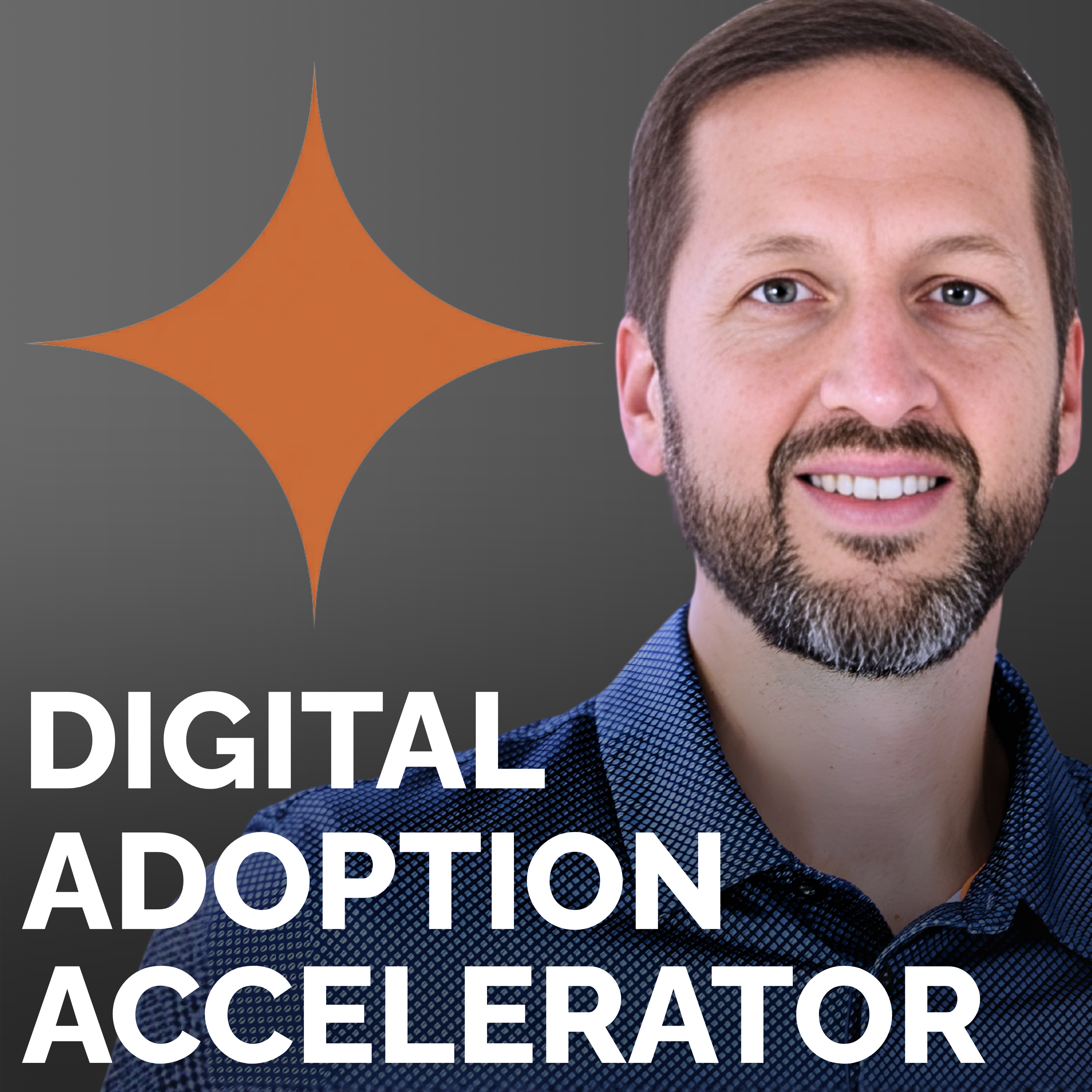 Accelerating Digital Adoption in Healthcare podcast artwork