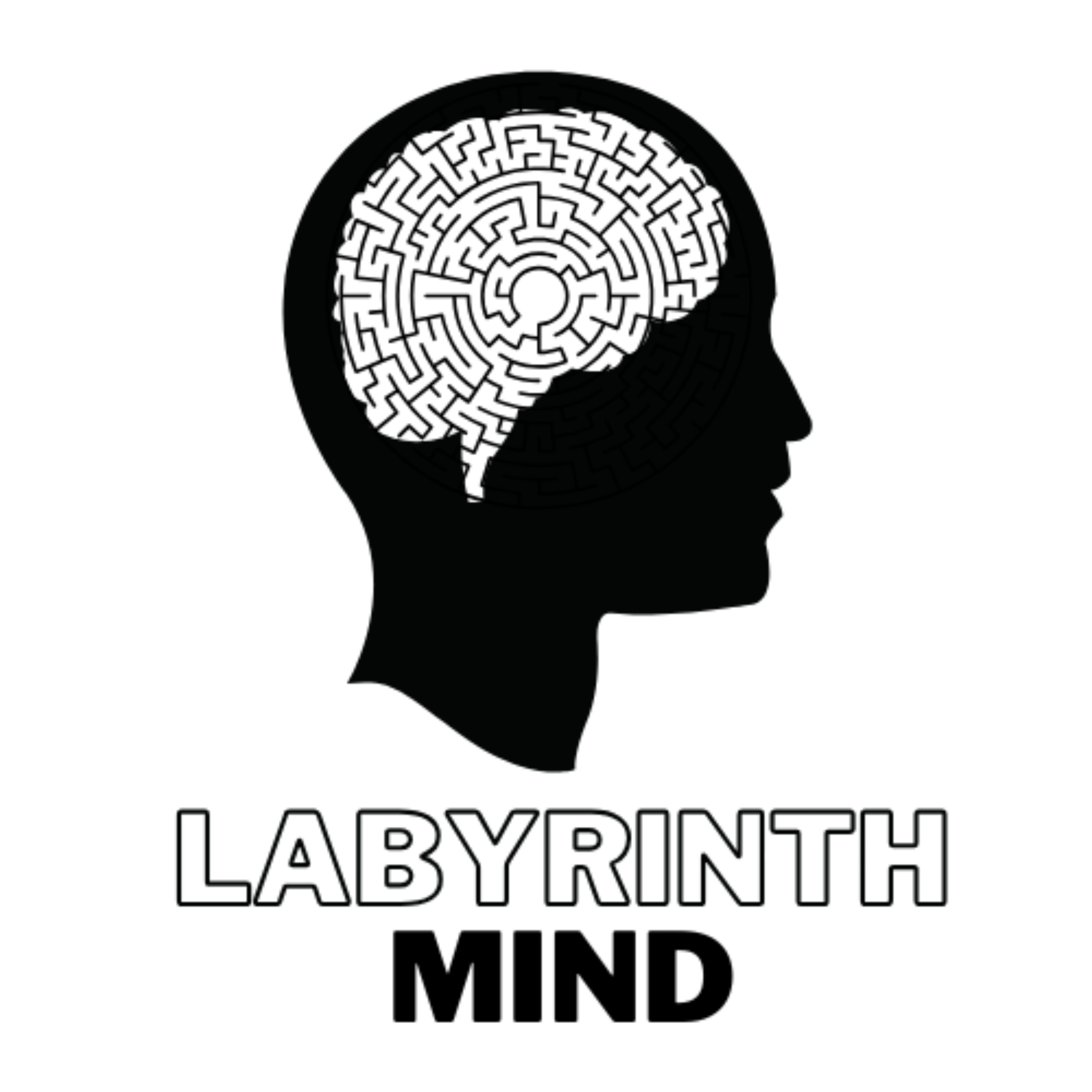 Labyrinth Mind: The Executive’s Guide to Mindset, Wellbeing & Business Success