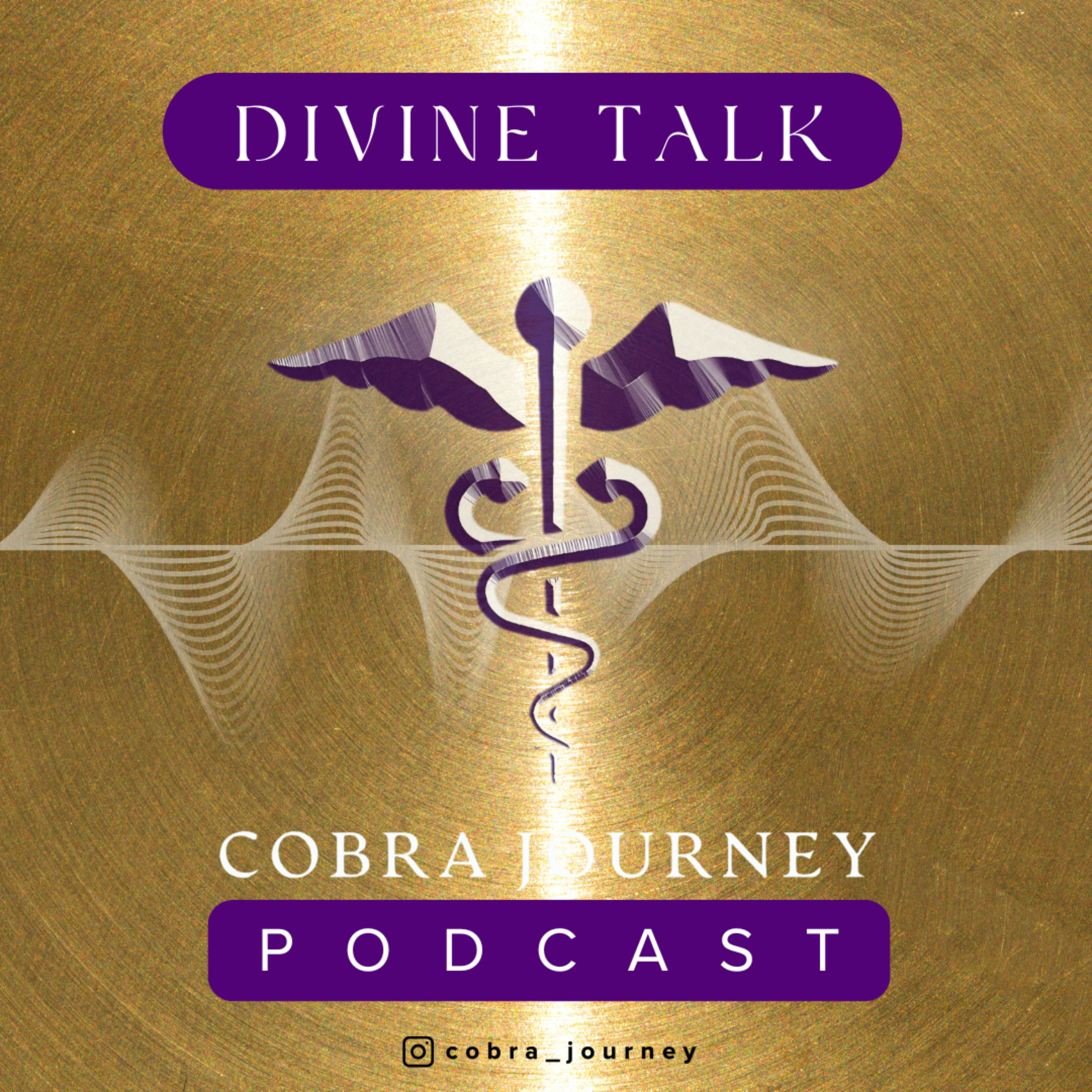 Cobra Journey: Divine Talk