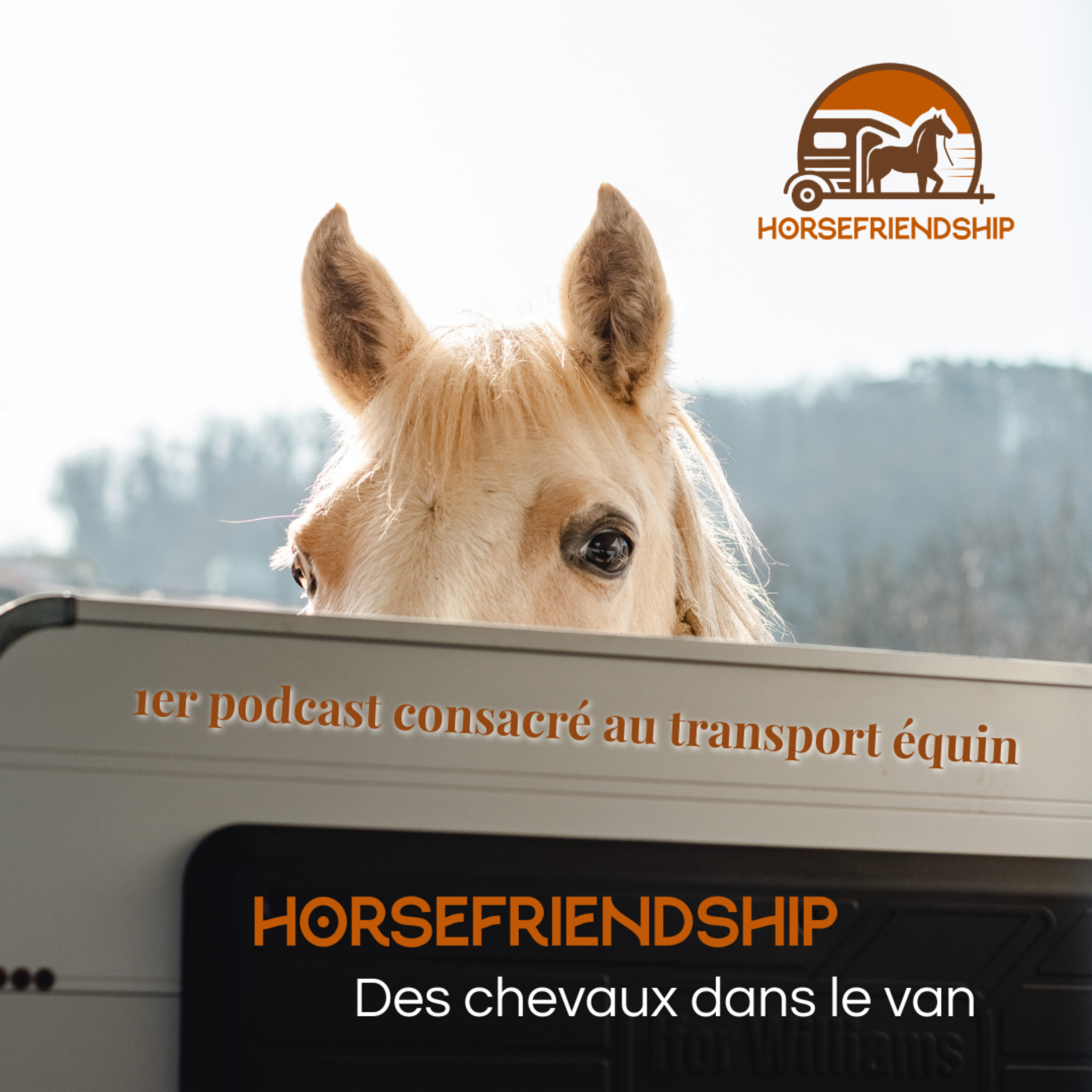 Artwork for HorseFriendship - Des chevaux dans le van !
