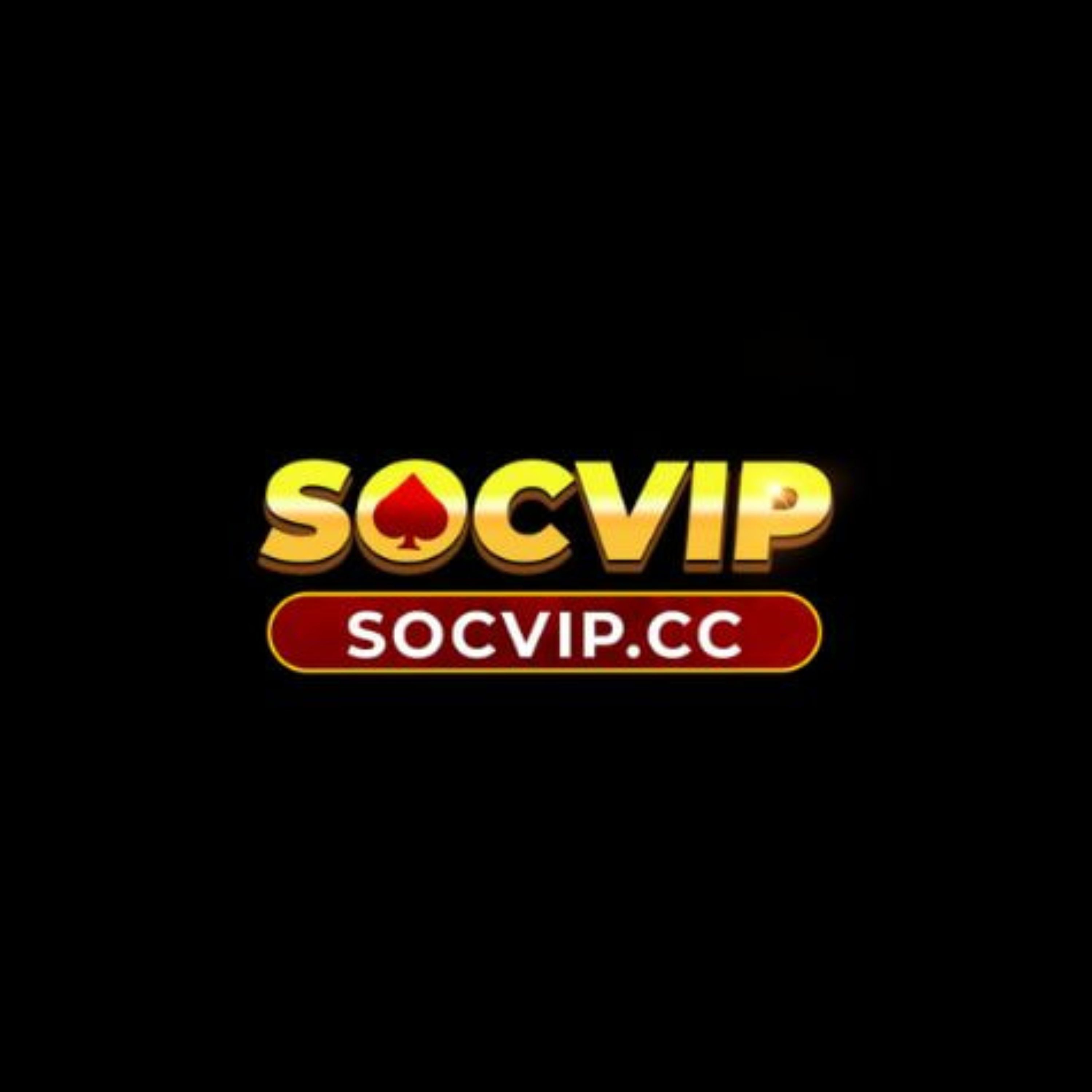 Socvip