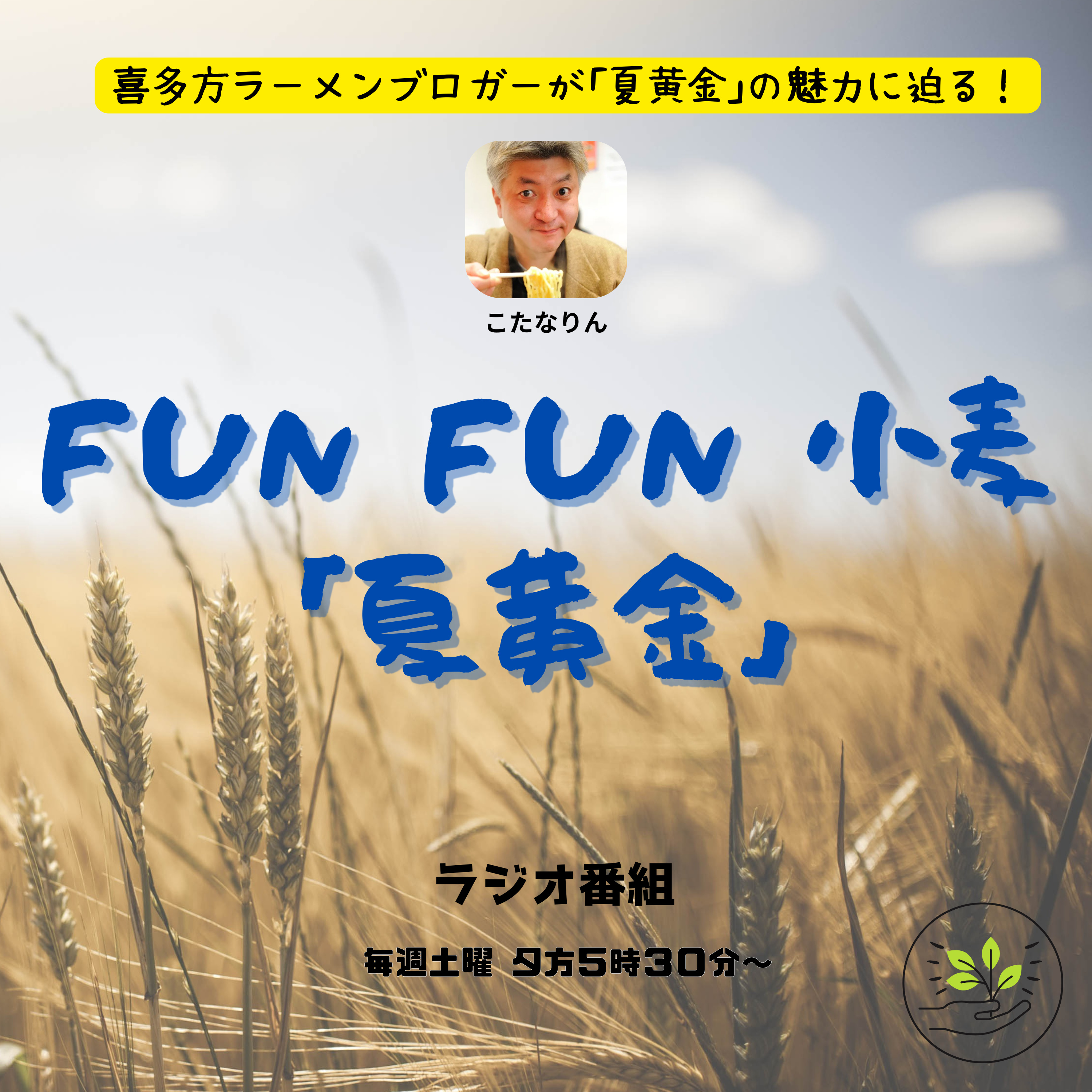 FUNFUN小麦「夏黄金」